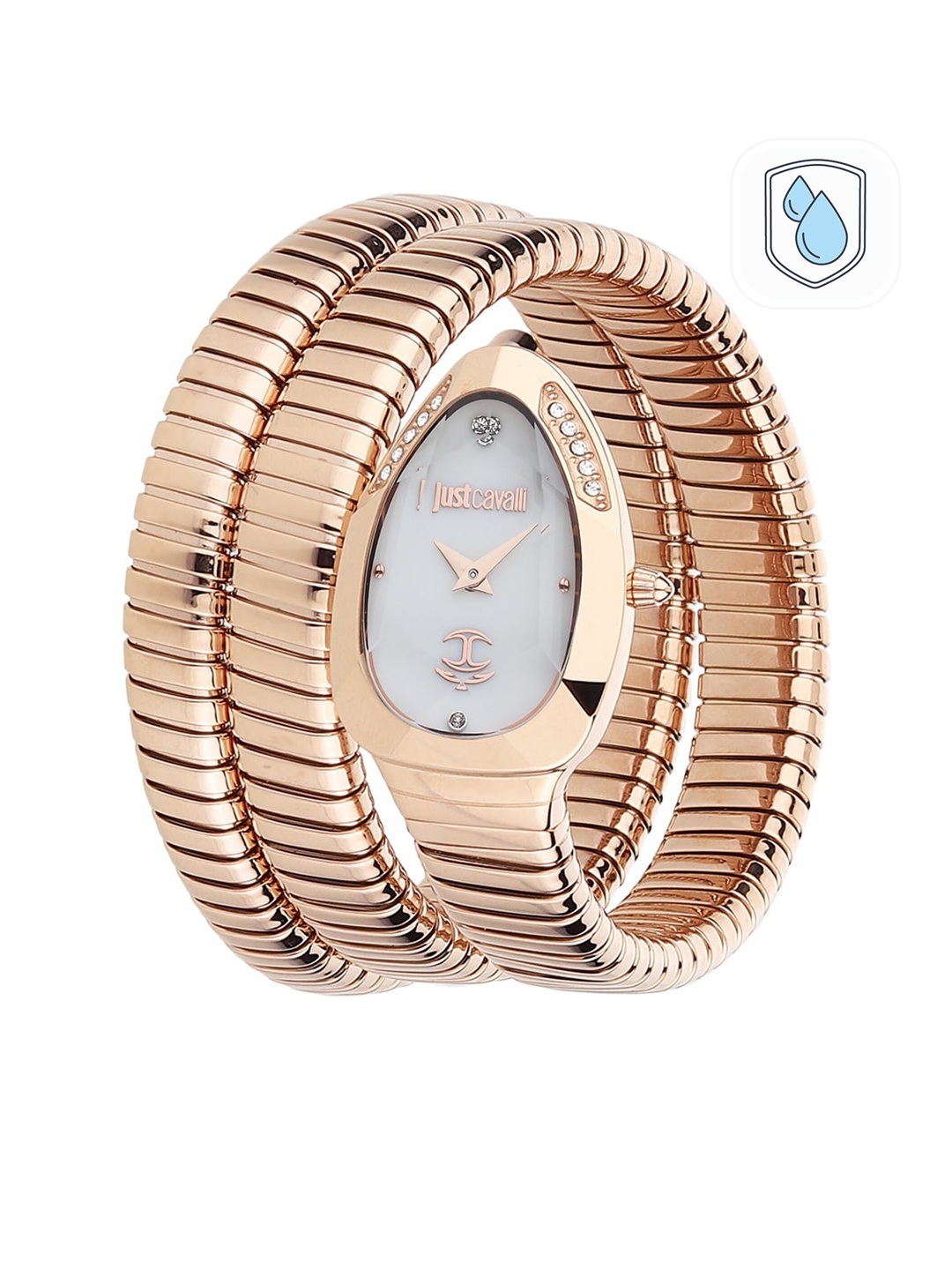 Just Cavalli Women White Brass Dial & Rose Gold Toned Straps Analogue Watch JC1L209M0055
Just Cavalli Women White Brass Dial & Rose Gold Toned Straps Analogue Watch JC1L209M0055