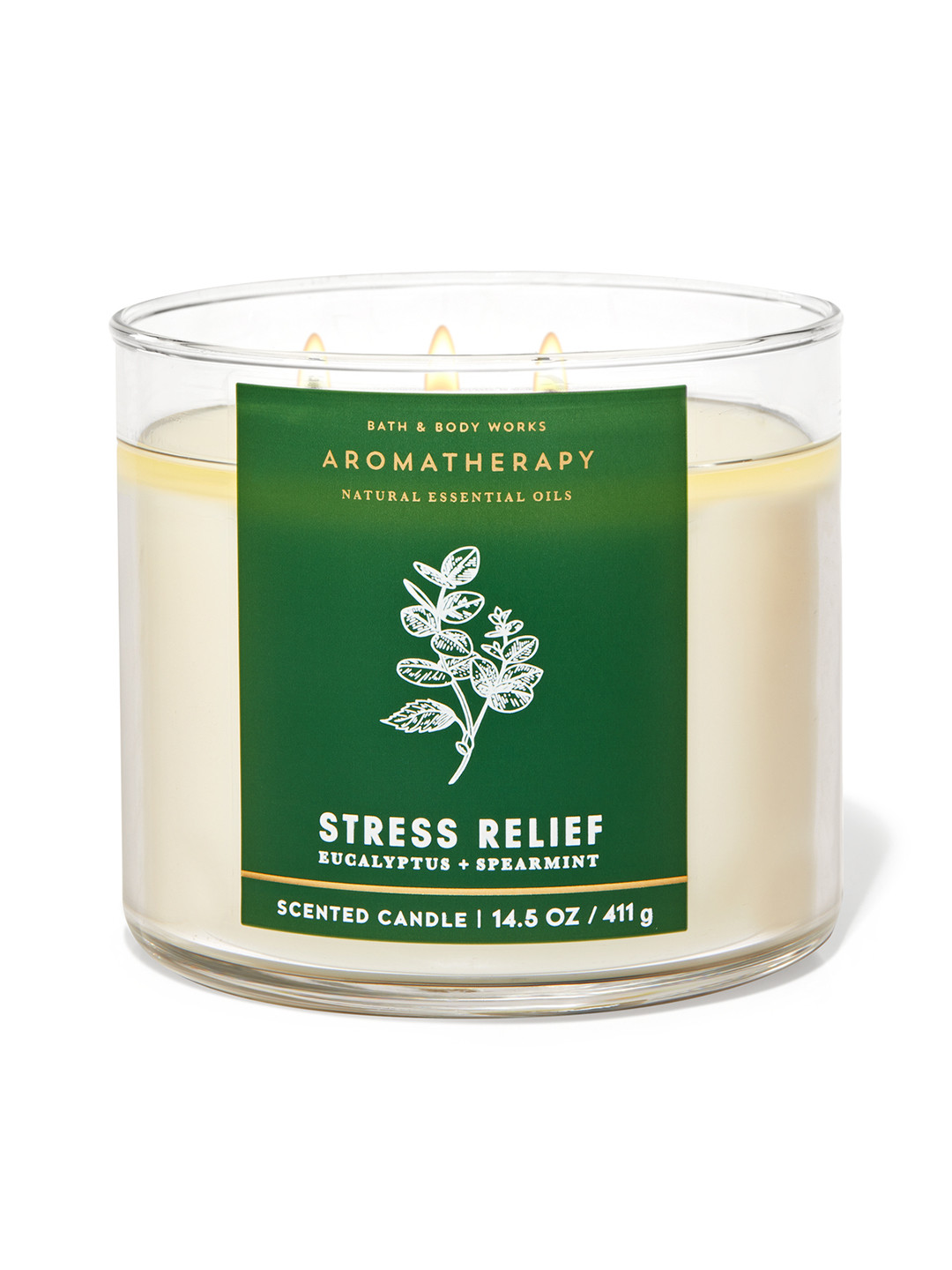 Bath & Body Works Stress Relief Eucalyptus Spearmint 3-Wick Scented Candle - 411g, Green
Bath & Body Works Stress Relief Eucalyptus Spearmint 3-Wick Scented Candle - 411g, Green