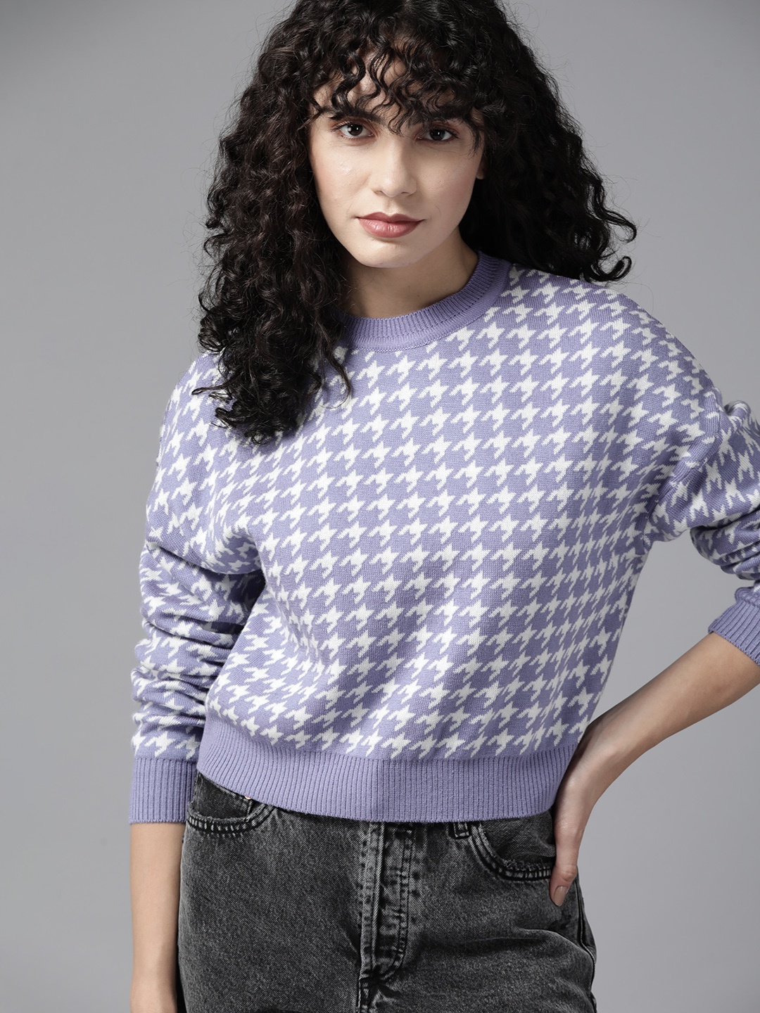 The Roadster Lifestyle Co. Women Lavender & White Acrylic Houndstooth Pattern Pullover
The Roadster Lifestyle Co. Women Lavender & White Acrylic Houndstooth Pattern Pullover
