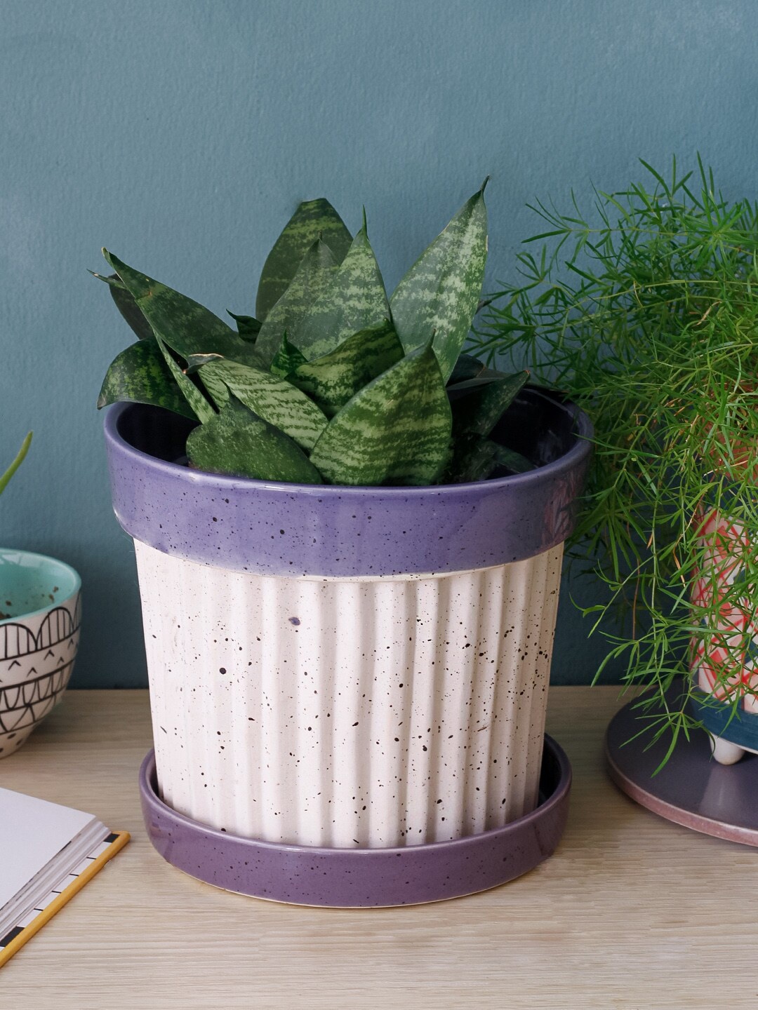 The Wishing Chair Purple & White Solid Planters With Plate