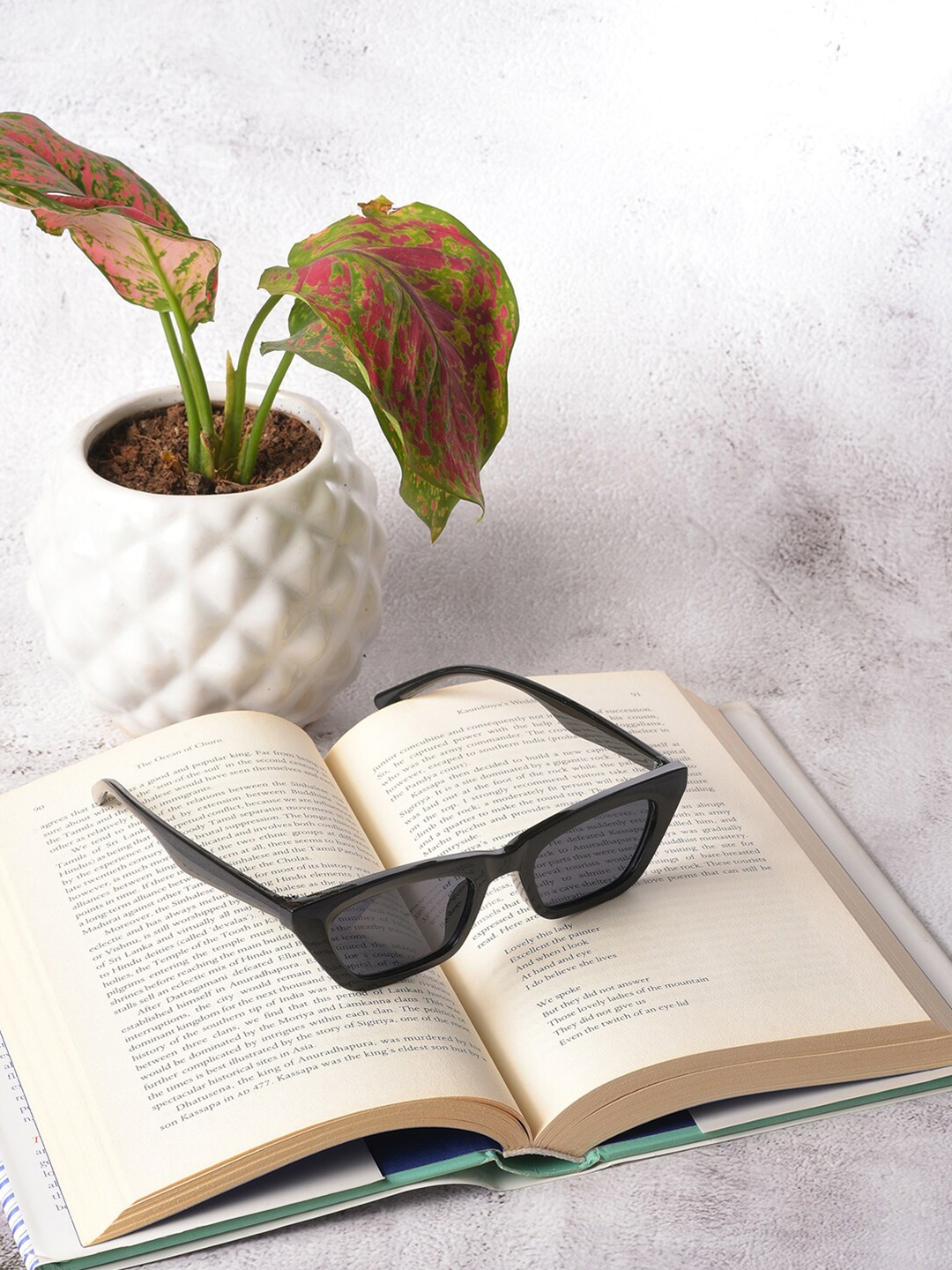 HAUTE SAUCE by Campus Sutra Women Grey Lens & Black Butterfly Sunglasses with UV Protected Lens
HAUTE SAUCE by Campus Sutra Women Grey Lens & Black Butterfly Sunglasses with UV Protected Lens