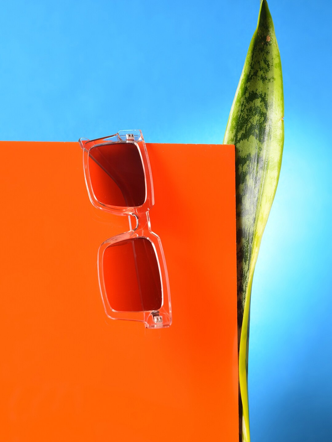HAUTE SAUCE by Campus Sutra Women Brown Lens & White Rectangle Sunglasses with Polarised Lens, Peach
HAUTE SAUCE by Campus Sutra Women Brown Lens & White Rectangle Sunglasses with Polarised Lens, Peach