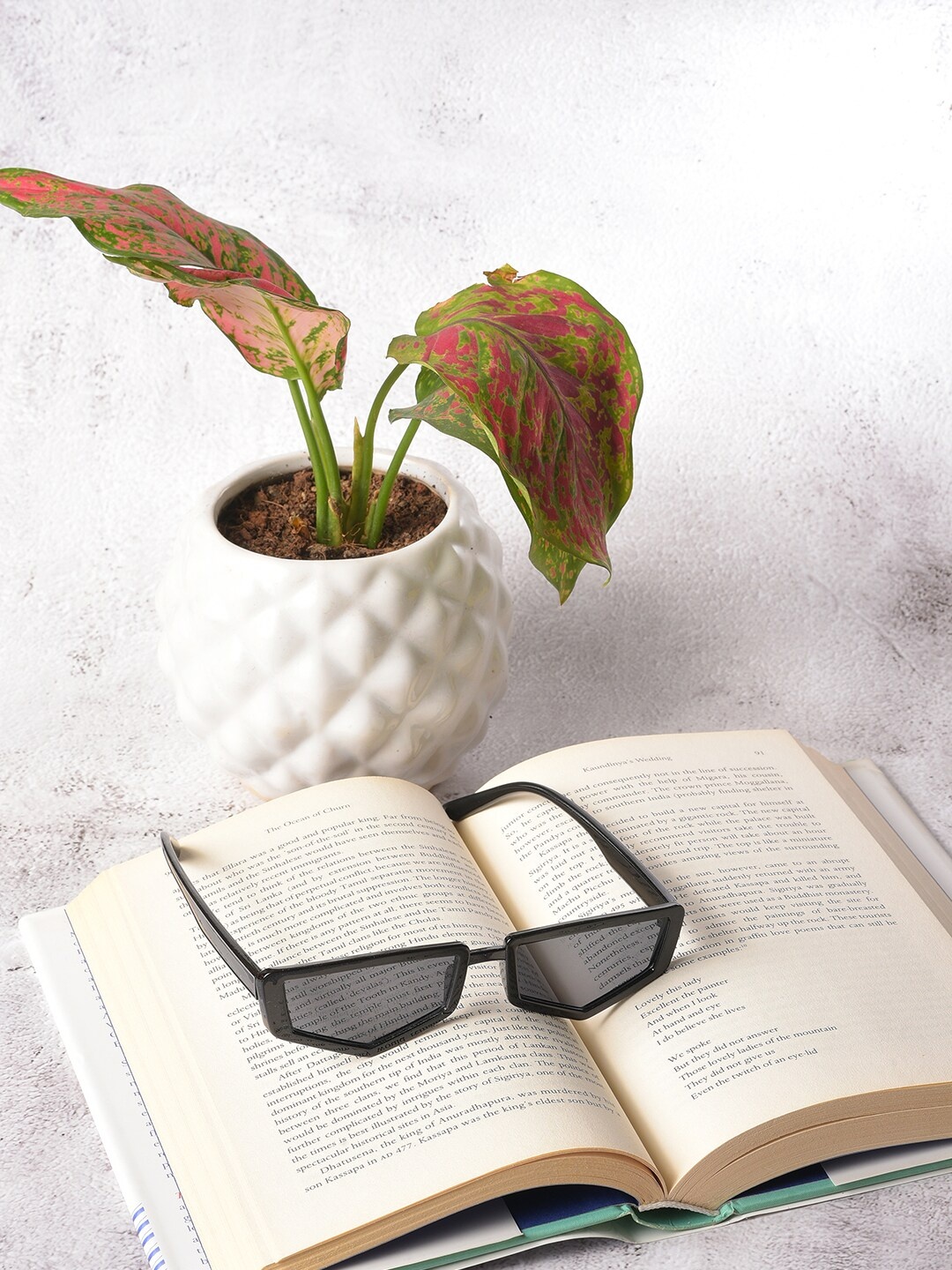 HAUTE SAUCE by Campus Sutra Unisex Black Lens & Black Other Sunglasses with Polarised Lens
HAUTE SAUCE by Campus Sutra Unisex Black Lens & Black Other Sunglasses with Polarised Lens
