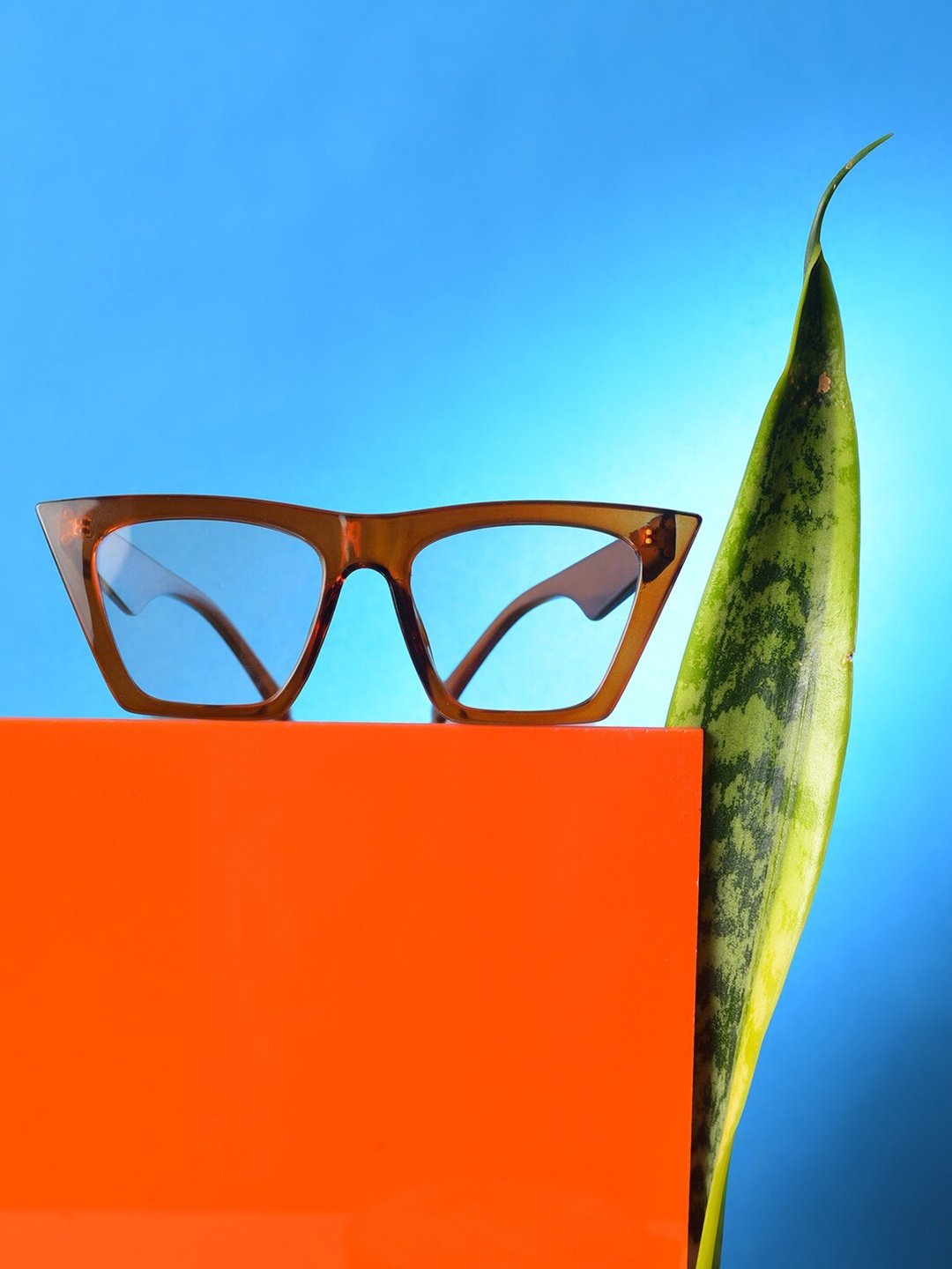HAUTE SAUCE by Campus Sutra Women Orange Lens & Orange Butterfly Sunglasses with Polarised and UV Protected
HAUTE SAUCE by Campus Sutra Women Orange Lens & Orange Butterfly Sunglasses with Polarised and UV Protected