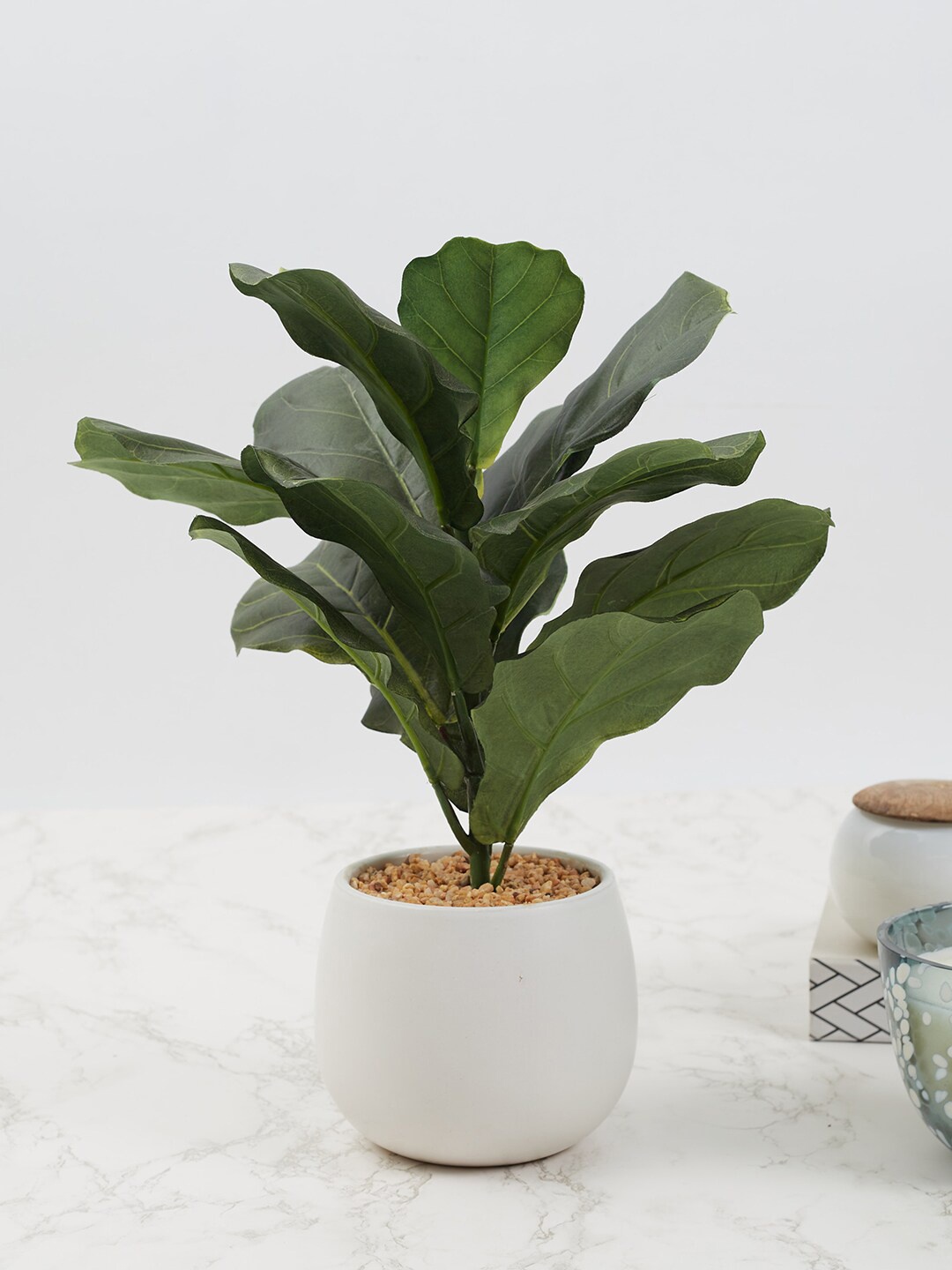 HomeTown Green & White Ilana Faux Fiddle Ceramic Potted Artificial Flowers and Plants
HomeTown Green & White Ilana Faux Fiddle Ceramic Potted Artificial Flowers and Plants