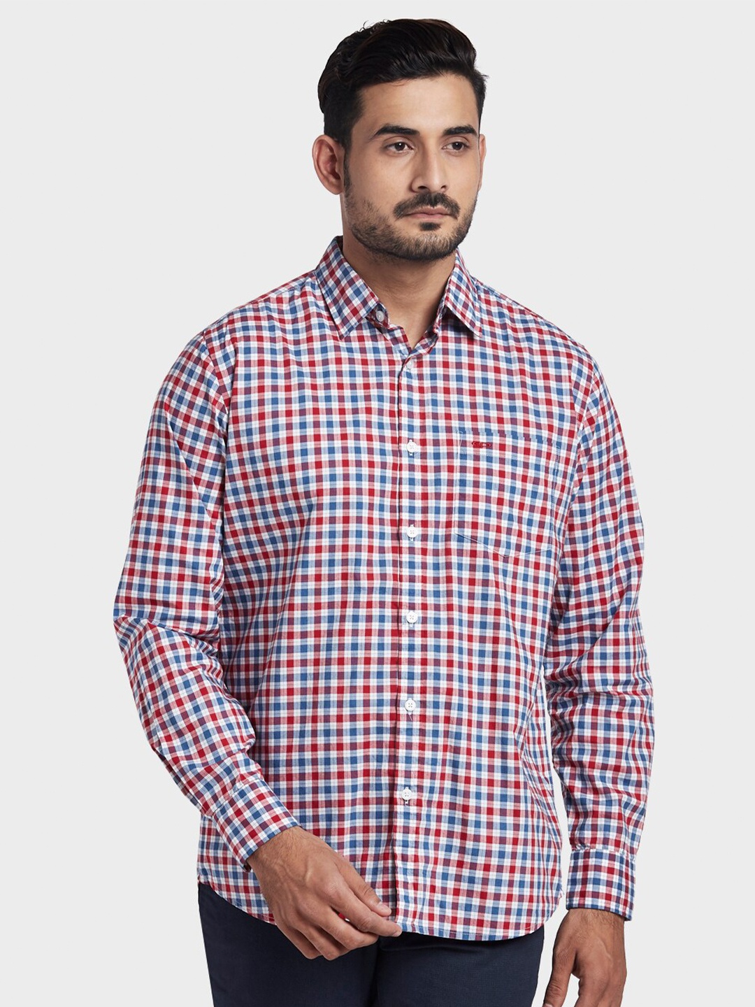 ColorPlus Men Red & Blue Gingham Checked Casual Shirt