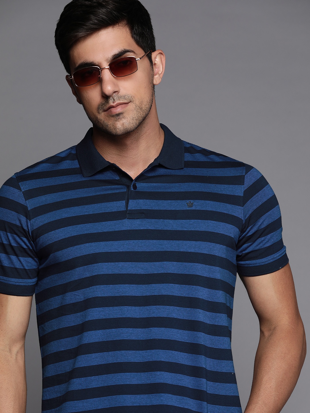 Louis Philippe Men Navy Blue Striped Polo Collar Pure Cotton T-shirt