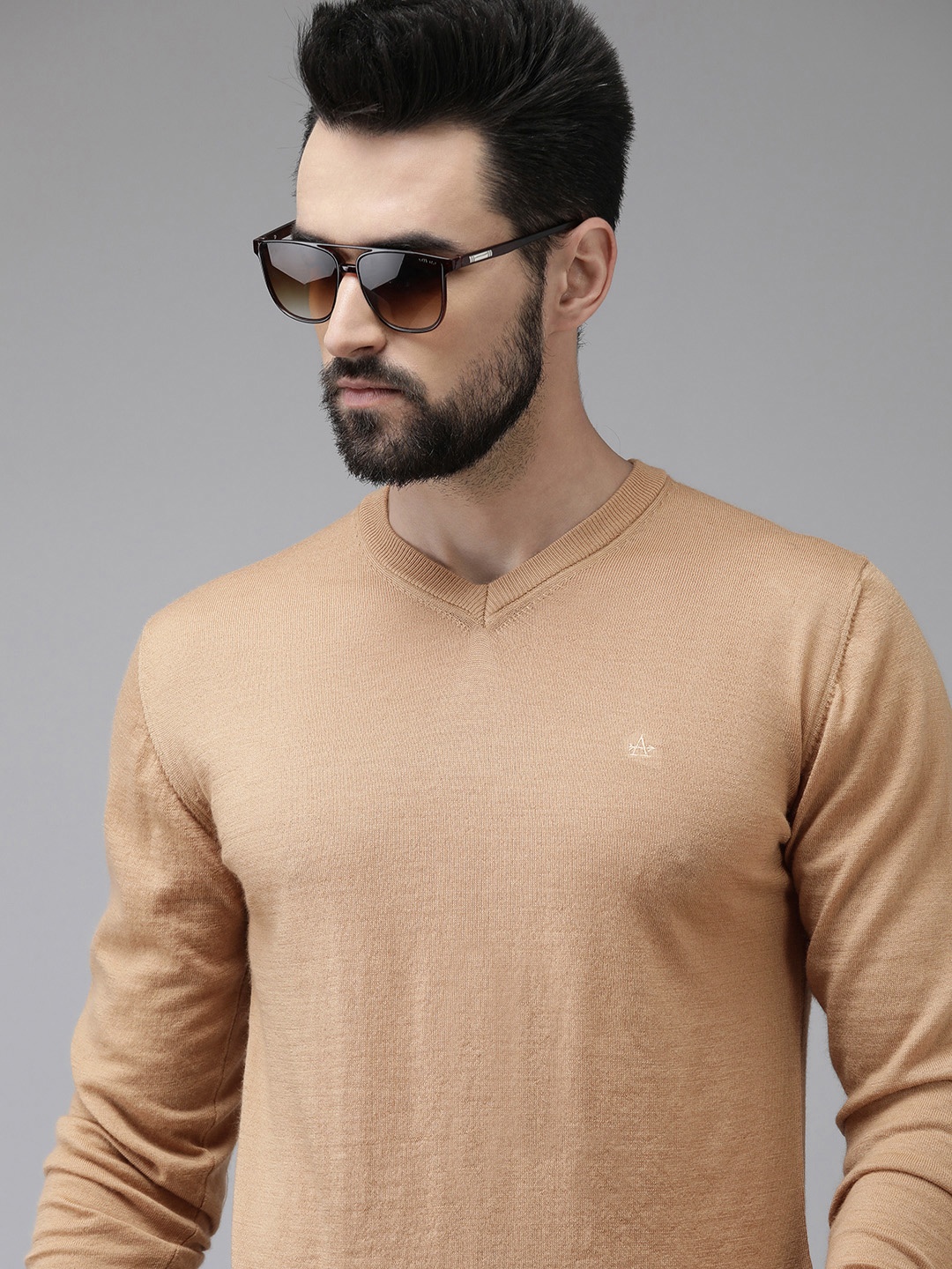 Arrow Men Beige Merino Wool Pullover