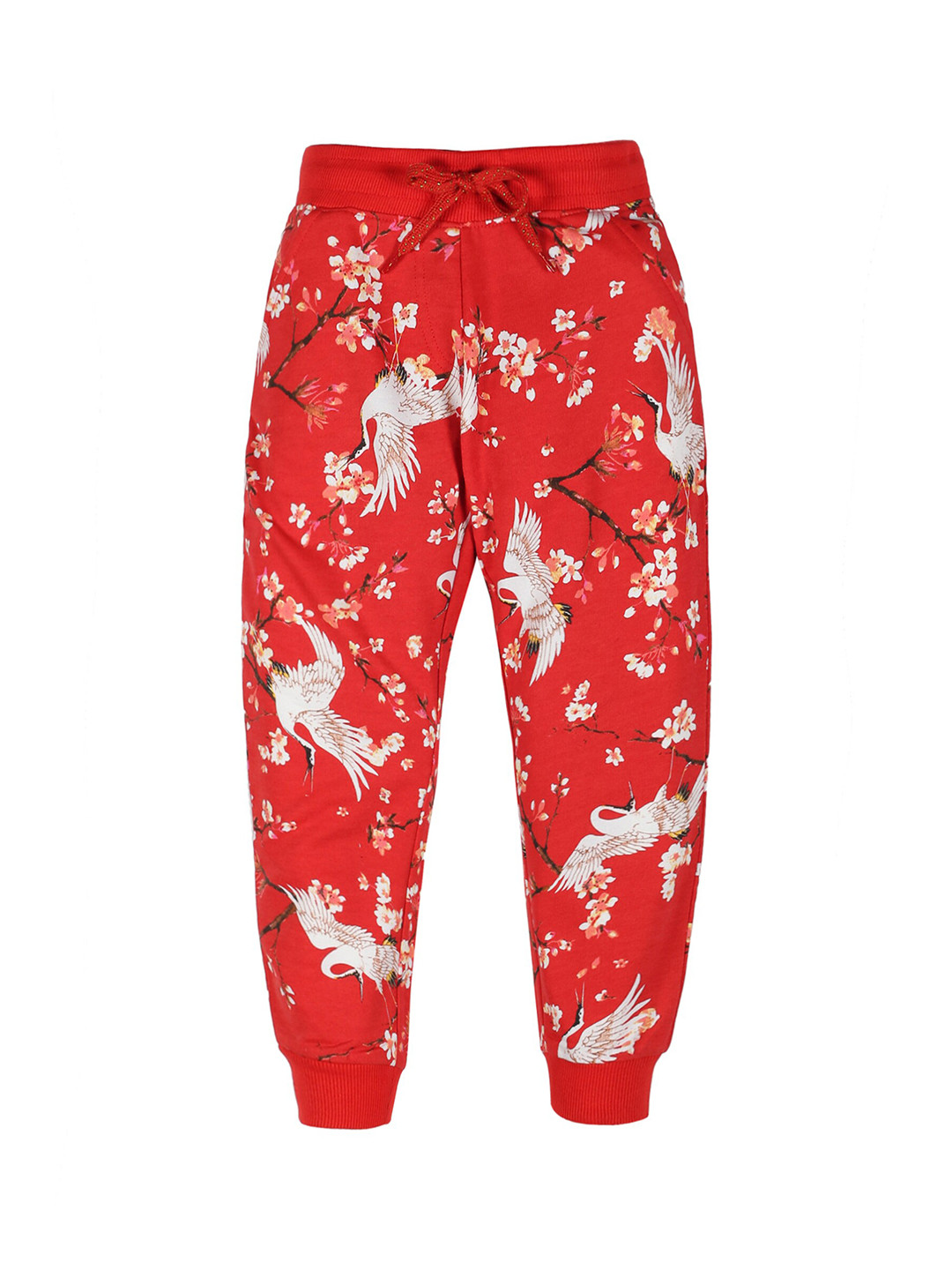 PLUM TREE Girls Red Printed Cotton Joggers 
PLUM TREE Girls Red Printed Cotton Joggers