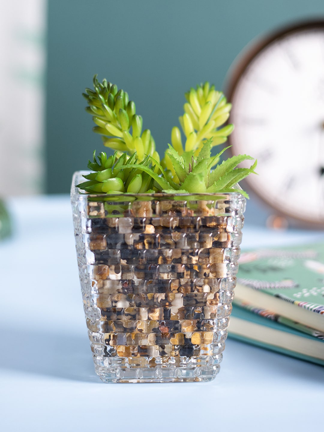MARKET99 Transparent & Green Mini Succulent Plant With Glass Pot