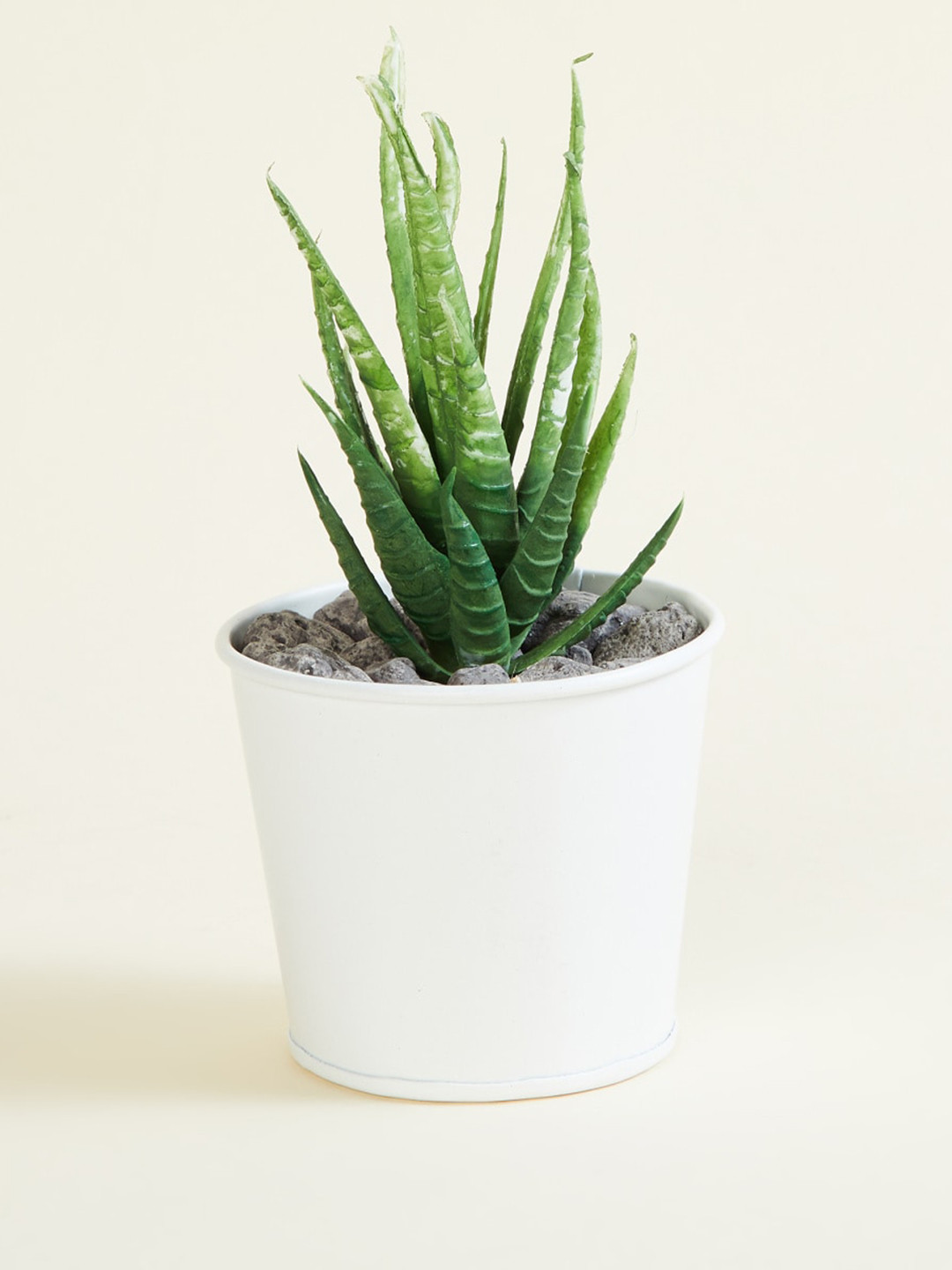 Home Centre Green & White Textured Crown Succulent Artificial Plants With Pot
Home Centre Green & White Textured Crown Succulent Artificial Plants With Pot