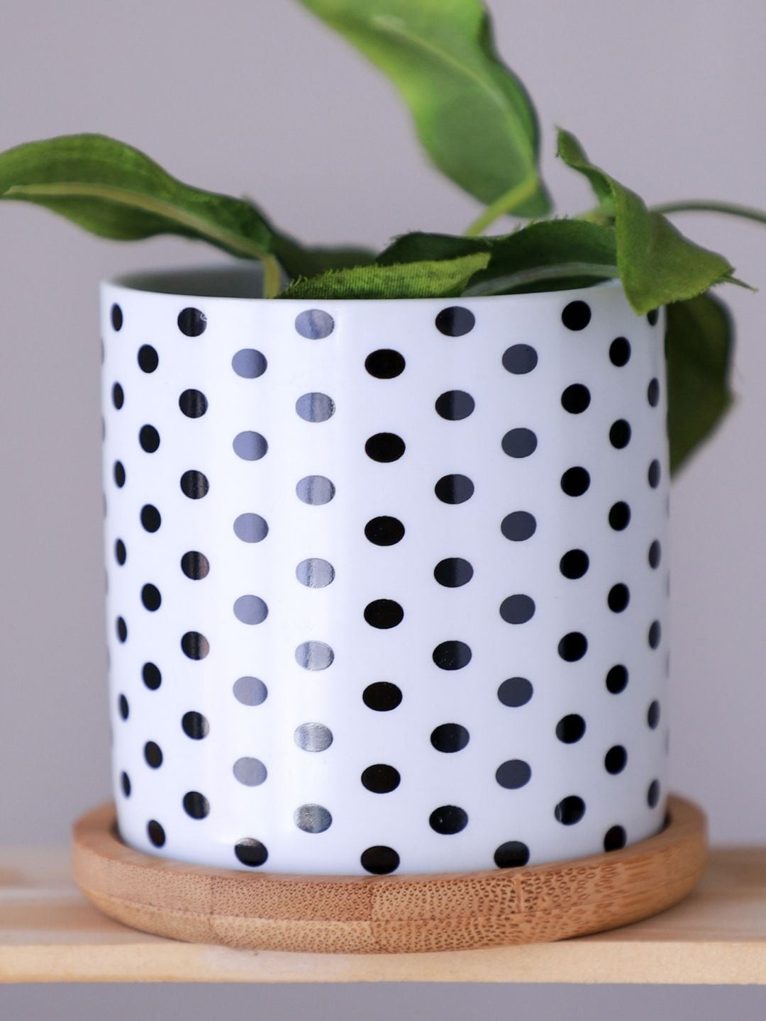 Nestasia Polka Dot Printed Ceramic Planters, White 
Nestasia Polka Dot Printed Ceramic Planters, White