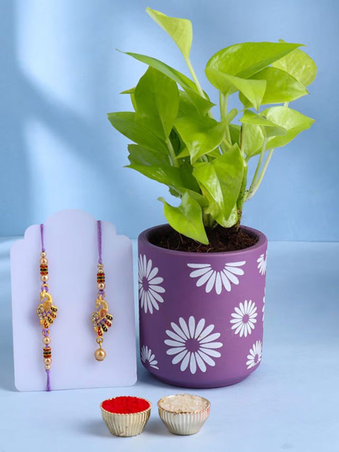 Floweraura Raksha Bandhan Bhaiya Bhabhi Rakhi With Money Plant In Terracotta Pot, Purple
Floweraura Raksha Bandhan Bhaiya Bhabhi Rakhi With Money Plant In Terracotta Pot, Purple