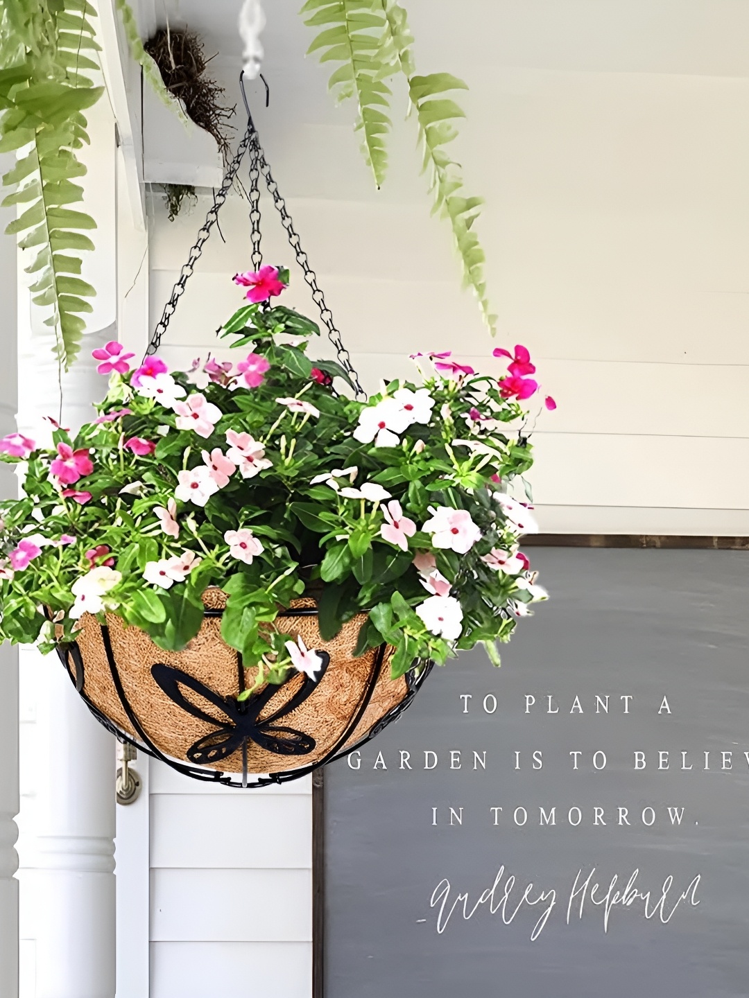 Garden King 2-Pcs Black & Brown Coir Hanging Basket Planter With Metal DetachableHanger
Garden King 2-Pcs Black & Brown Coir Hanging Basket Planter With Metal DetachableHanger