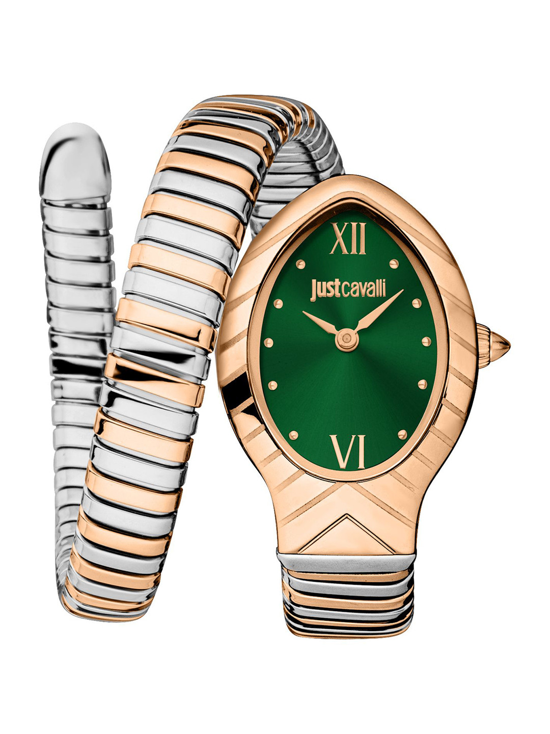 Just Cavalli Women Dial & Stainless Steel Bracelet Style Analogue Watch JC1L247M0075-Multi
Just Cavalli Women Dial & Stainless Steel Bracelet Style Analogue Watch JC1L247M0075-Multi