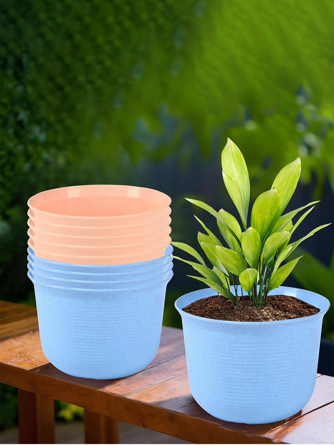 Kuber Industries Blue & Peach-Coloured 10 Pieces Striped Sawera Planters With Plates
Kuber Industries Blue & Peach-Coloured 10 Pieces Striped Sawera Planters With Plates