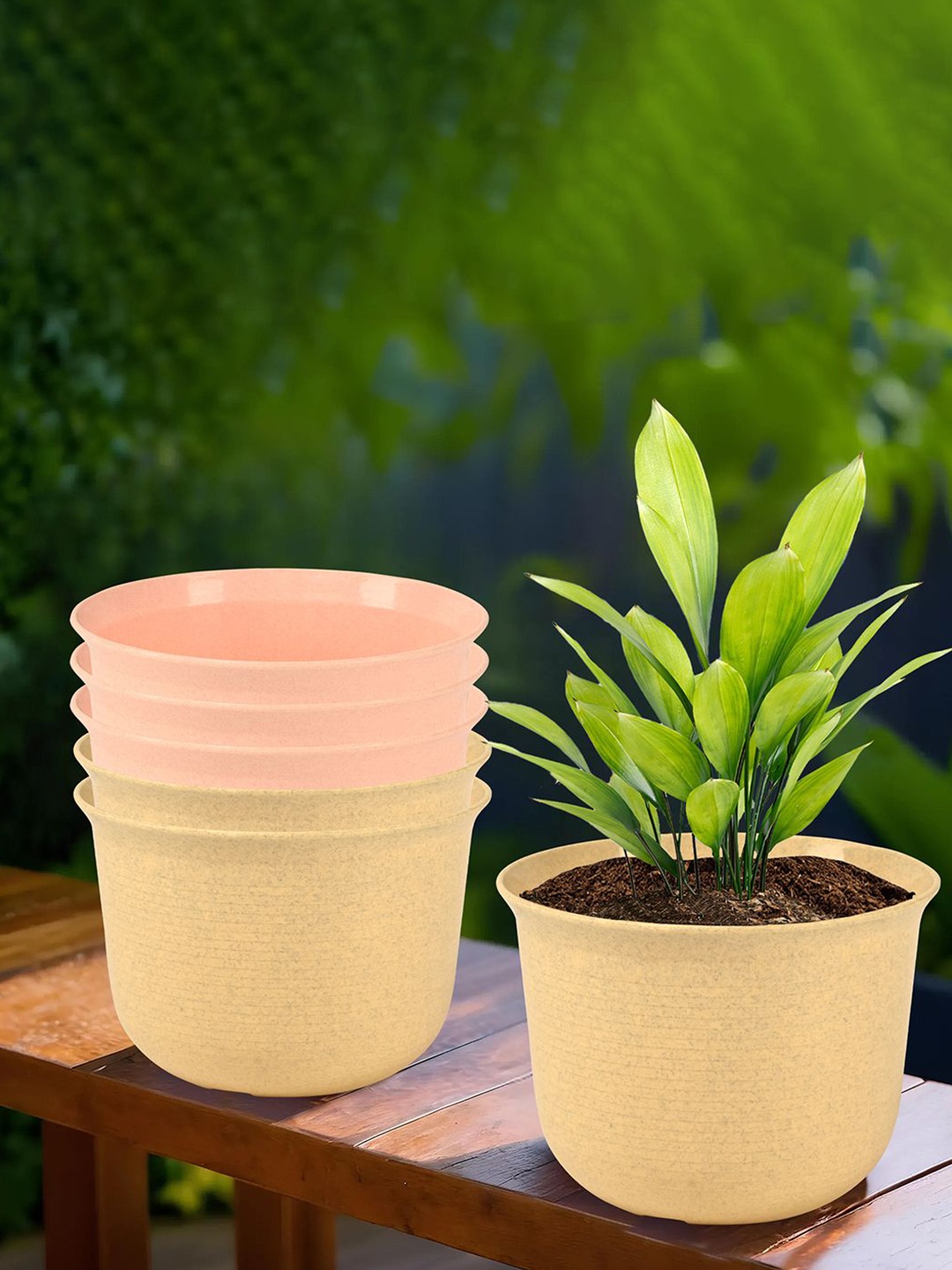 Kuber Industries Sawera Beige & Peach-Colored 6 Pieces Textured Planters With Plates
Kuber Industries Sawera Beige & Peach-Colored 6 Pieces Textured Planters With Plates