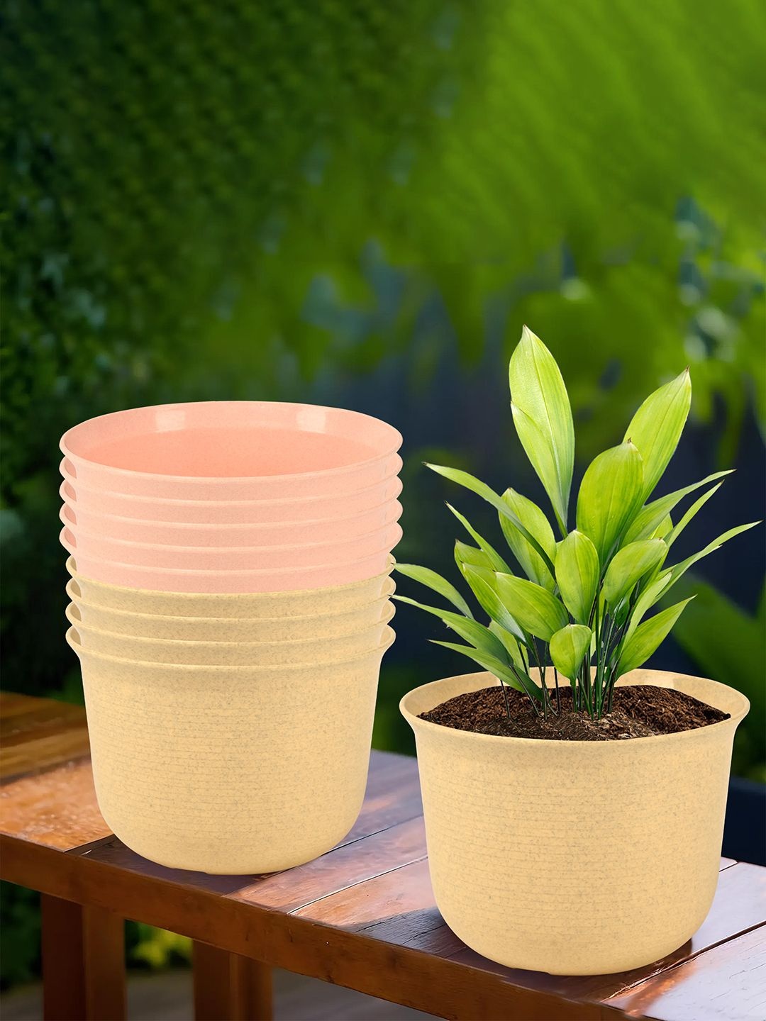 Kuber Industries Sawera Beige & Peach-Colored 10 Pieces Textured Planters With Plates
Kuber Industries Sawera Beige & Peach-Colored 10 Pieces Textured Planters With Plates