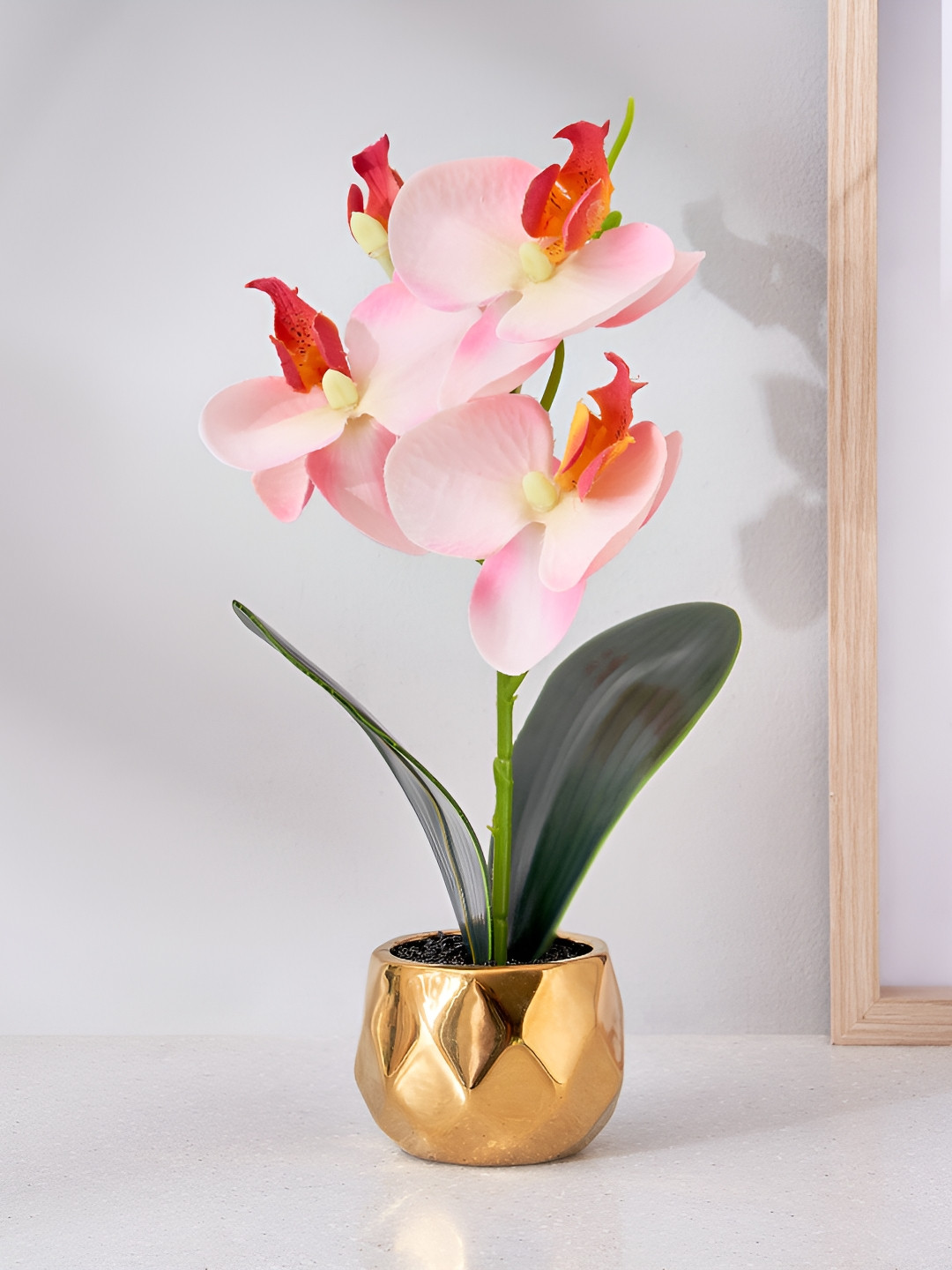 Home Centre Yellow 1 Pieces Artificial Plant With Pot
Home Centre Yellow 1 Pieces Artificial Plant With Pot