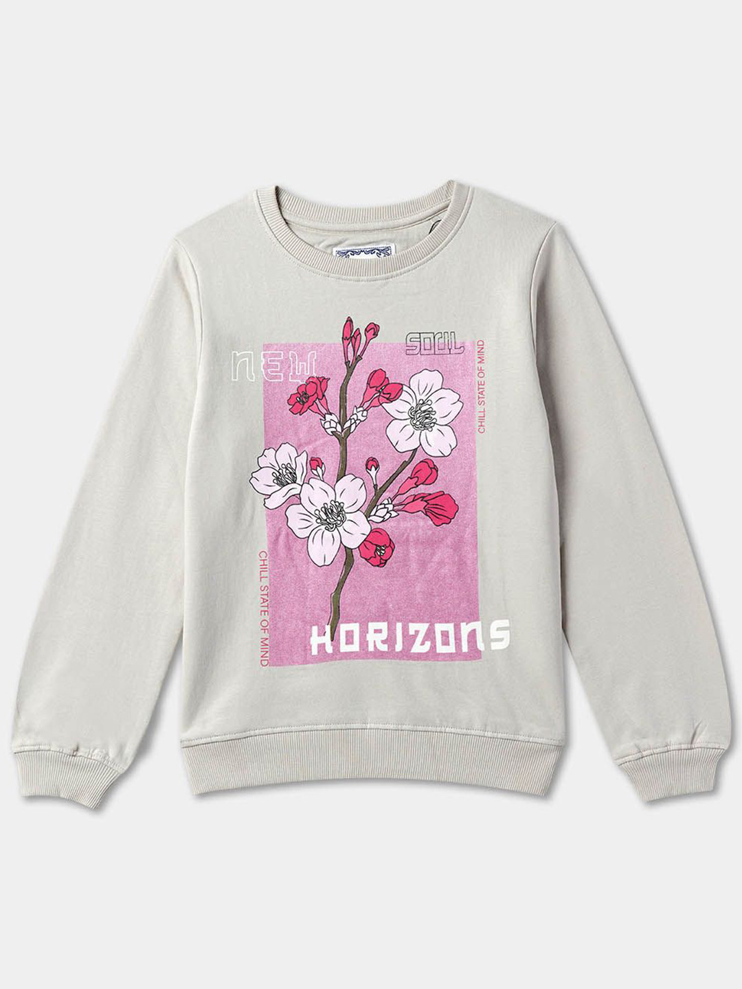 R&B Girls Casual Cotton Long Sleeves Sweatshirt, Grey
R&B Girls Casual Cotton Long Sleeves Sweatshirt, Grey