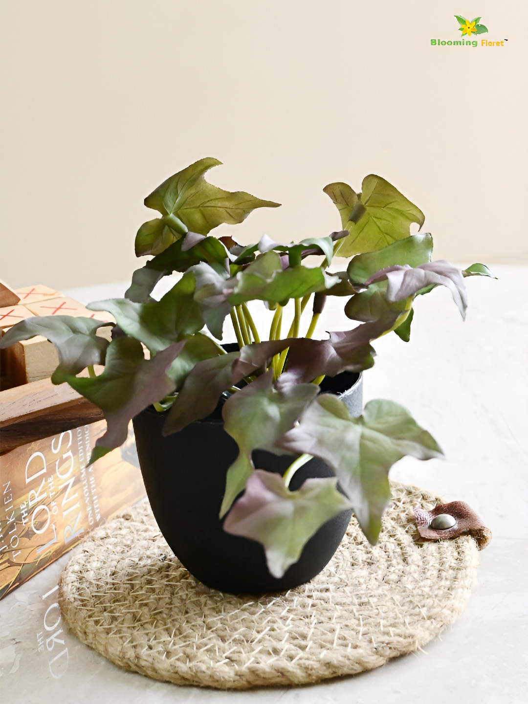 Blooming Floret Green & Black Ivy Faux Artificial Plant With Pot
Blooming Floret Green & Black Ivy Faux Artificial Plant With Pot