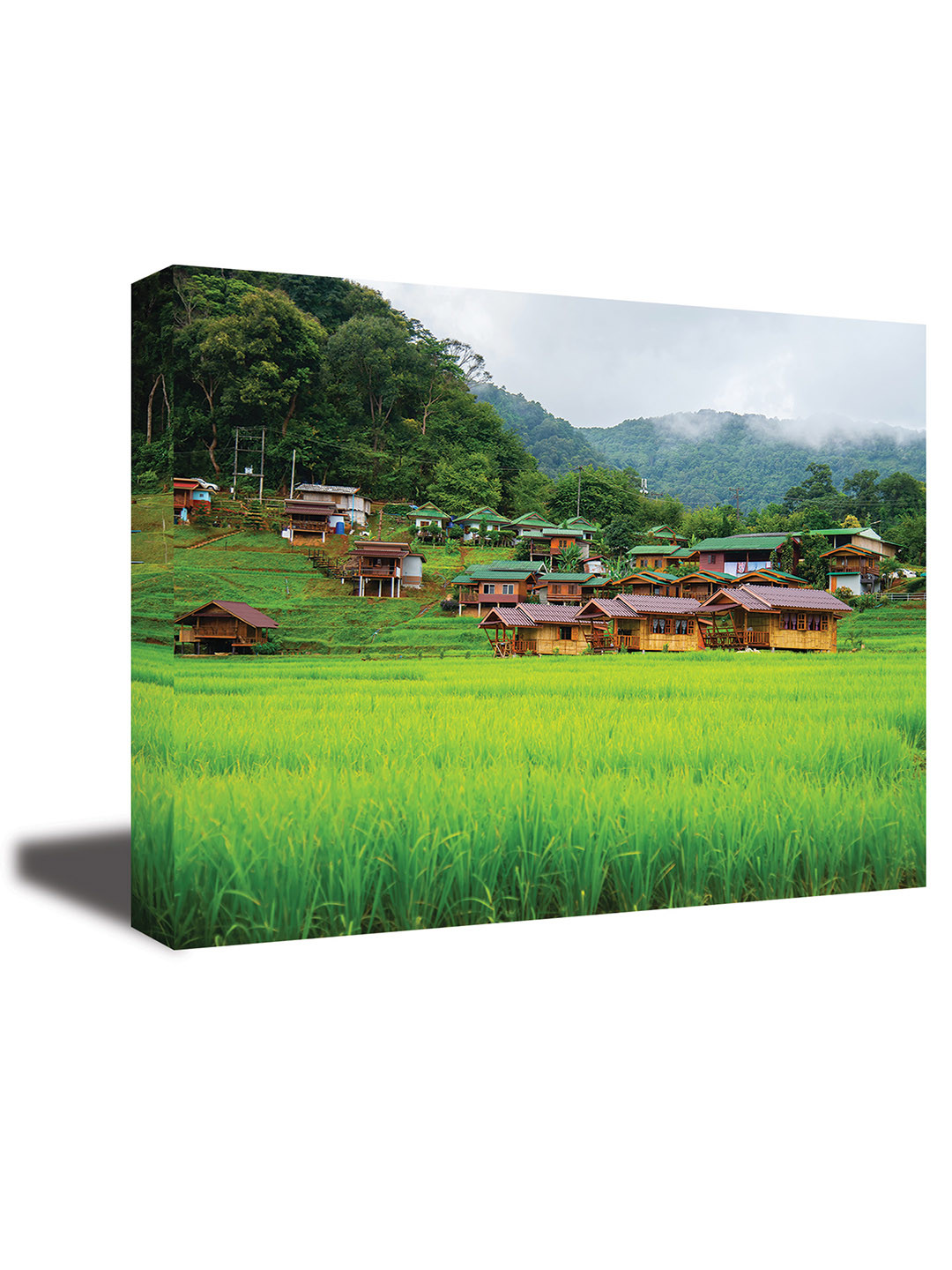 CVANU Green& Brown Canvas Wall Paintings
CVANU Green& Brown Canvas Wall Paintings