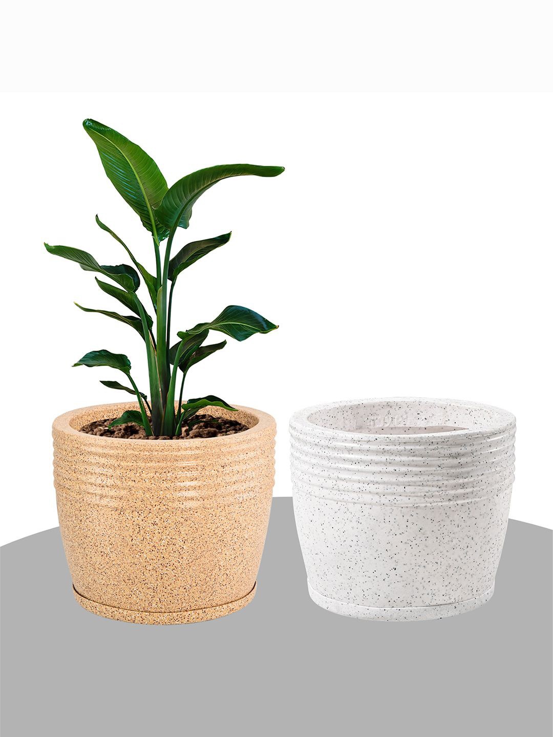 Kuber Industries Brown & White 2 Pieces Textured Roto Mould Flower Planters With Tray
Kuber Industries Brown & White 2 Pieces Textured Roto Mould Flower Planters With Tray