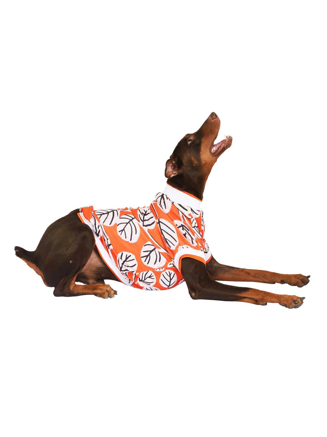 Pawsindia Orange Colored & White Printed Dog T-shirts