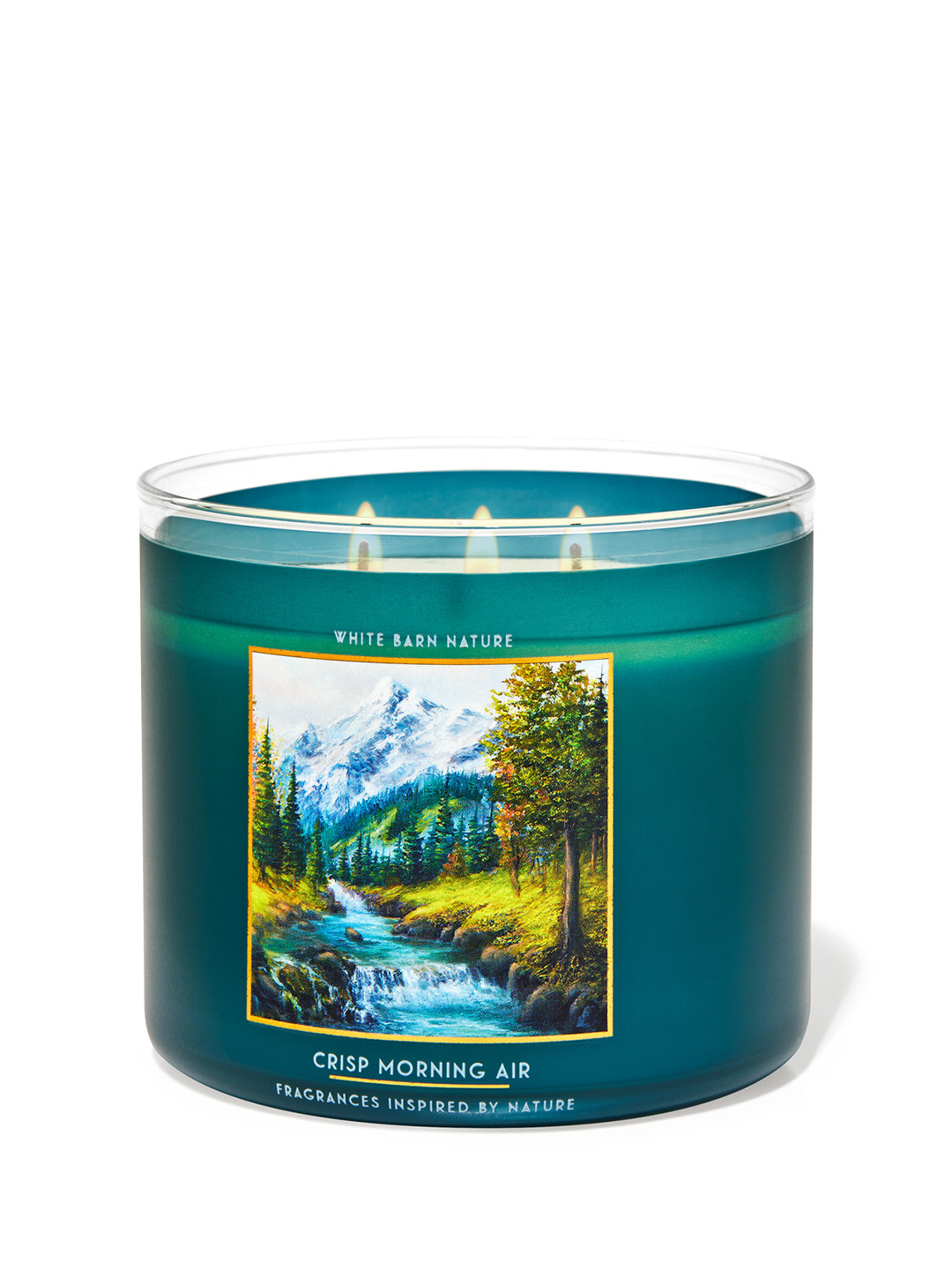 Bath & Body Works Crisp Morning Air 3-Wick Scented Candle with Essential Oils - 411g, Blue
Bath & Body Works Crisp Morning Air 3-Wick Scented Candle with Essential Oils - 411g, Blue