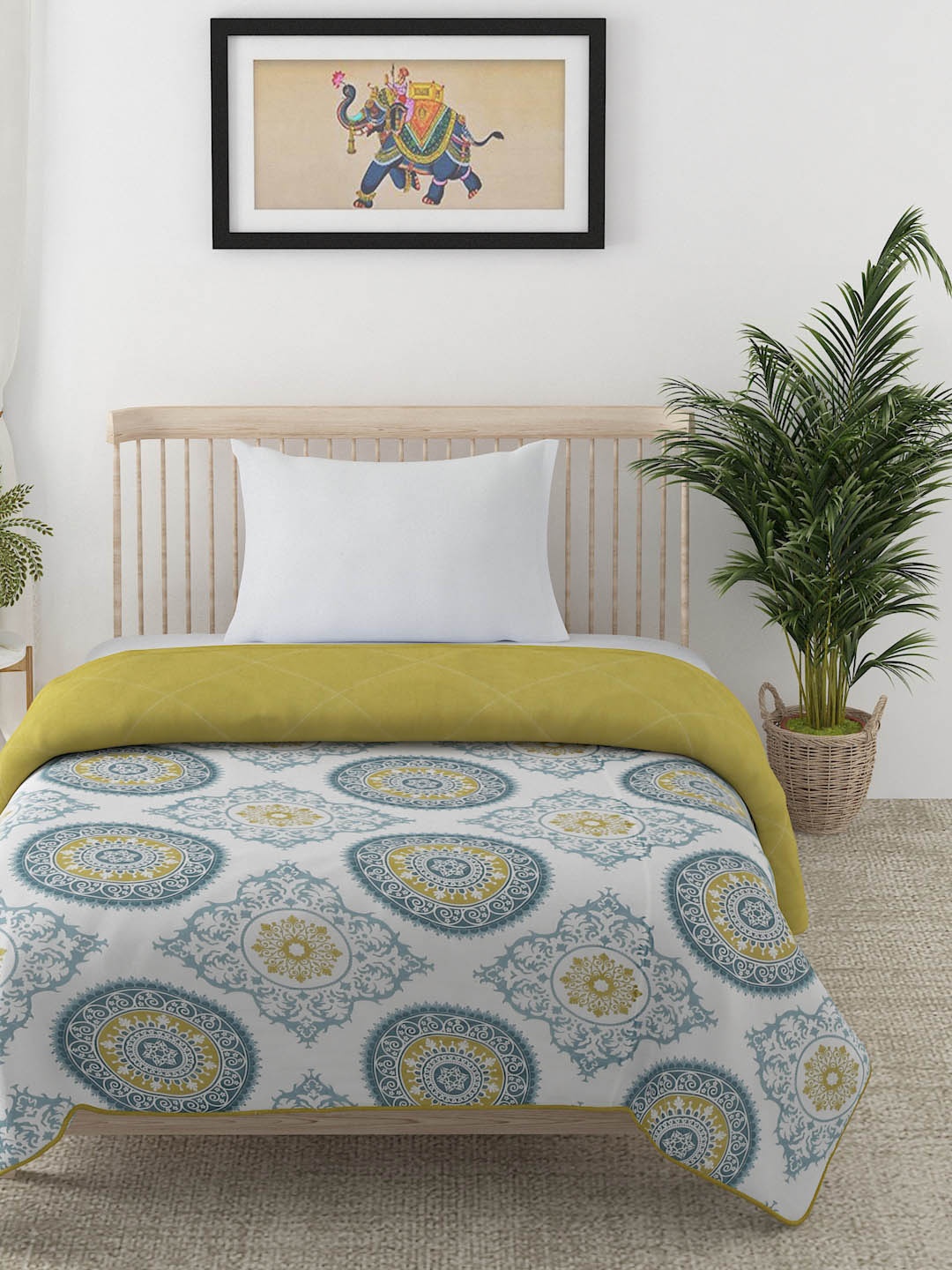 EK BY EKTA KAPOOR Mosaic Green & White Floral AC Room 120 GSM Cotton Printed Dohar
EK BY EKTA KAPOOR Mosaic Green & White Floral AC Room 120 GSM Cotton Printed Dohar