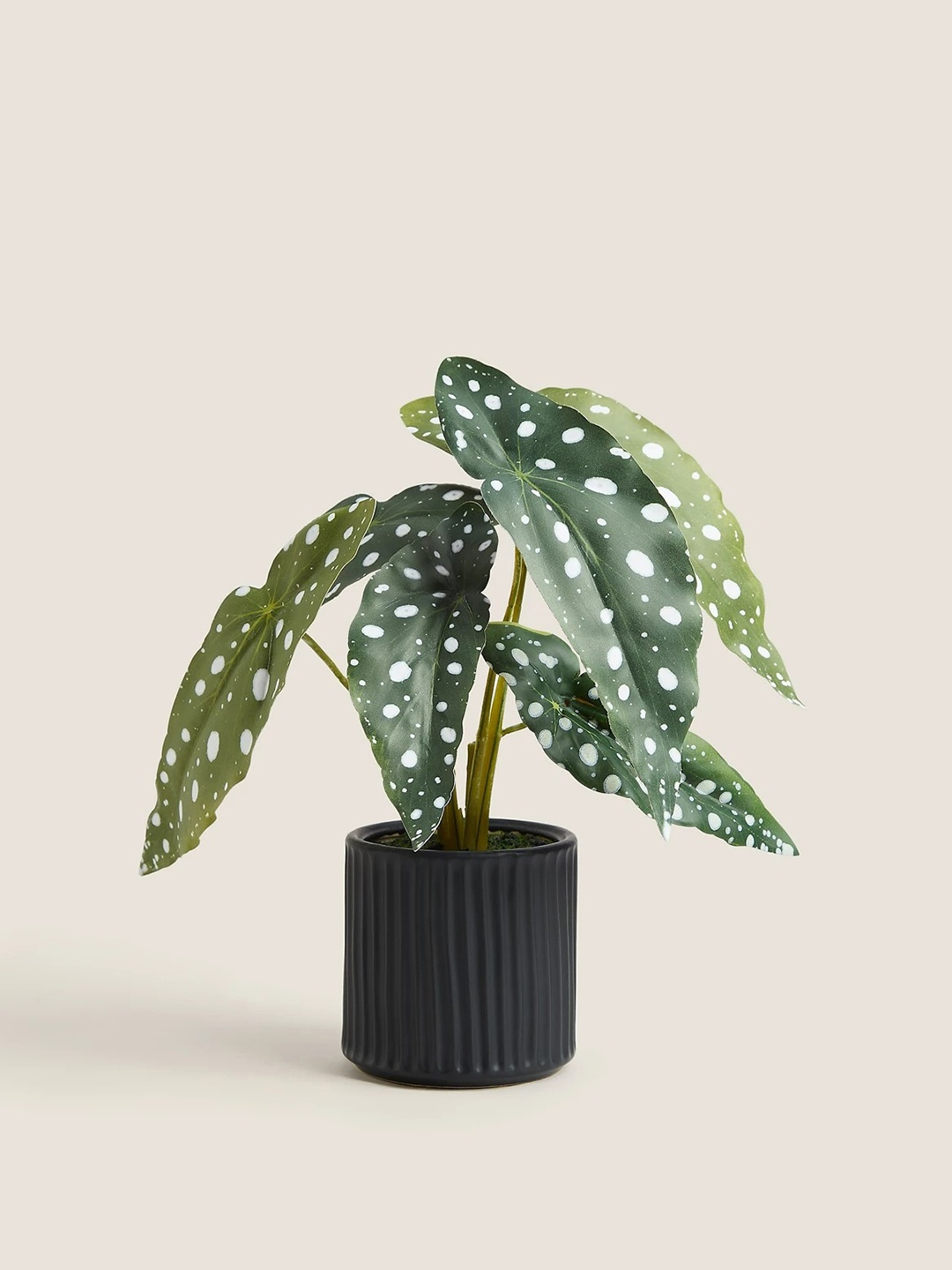 Marks & Spencer Green Artificial Flowers With Ceramic Pot