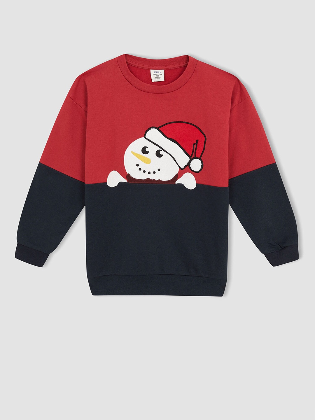 DeFacto Boys Red Colourblocked Sweatshirt