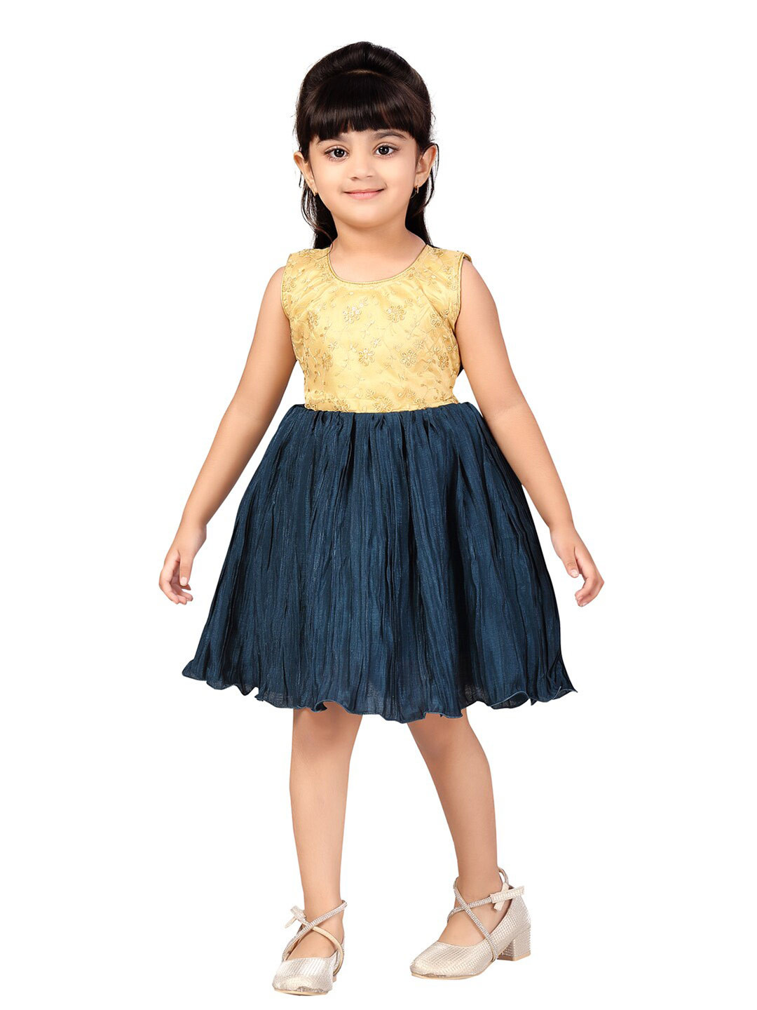 Aarika Navy Girls Blue & Gold-Toned Floral Embroidered Net Fit & Flare Dress, Navy blue
Aarika Navy Girls Blue & Gold-Toned Floral Embroidered Net Fit & Flare Dress, Navy blue