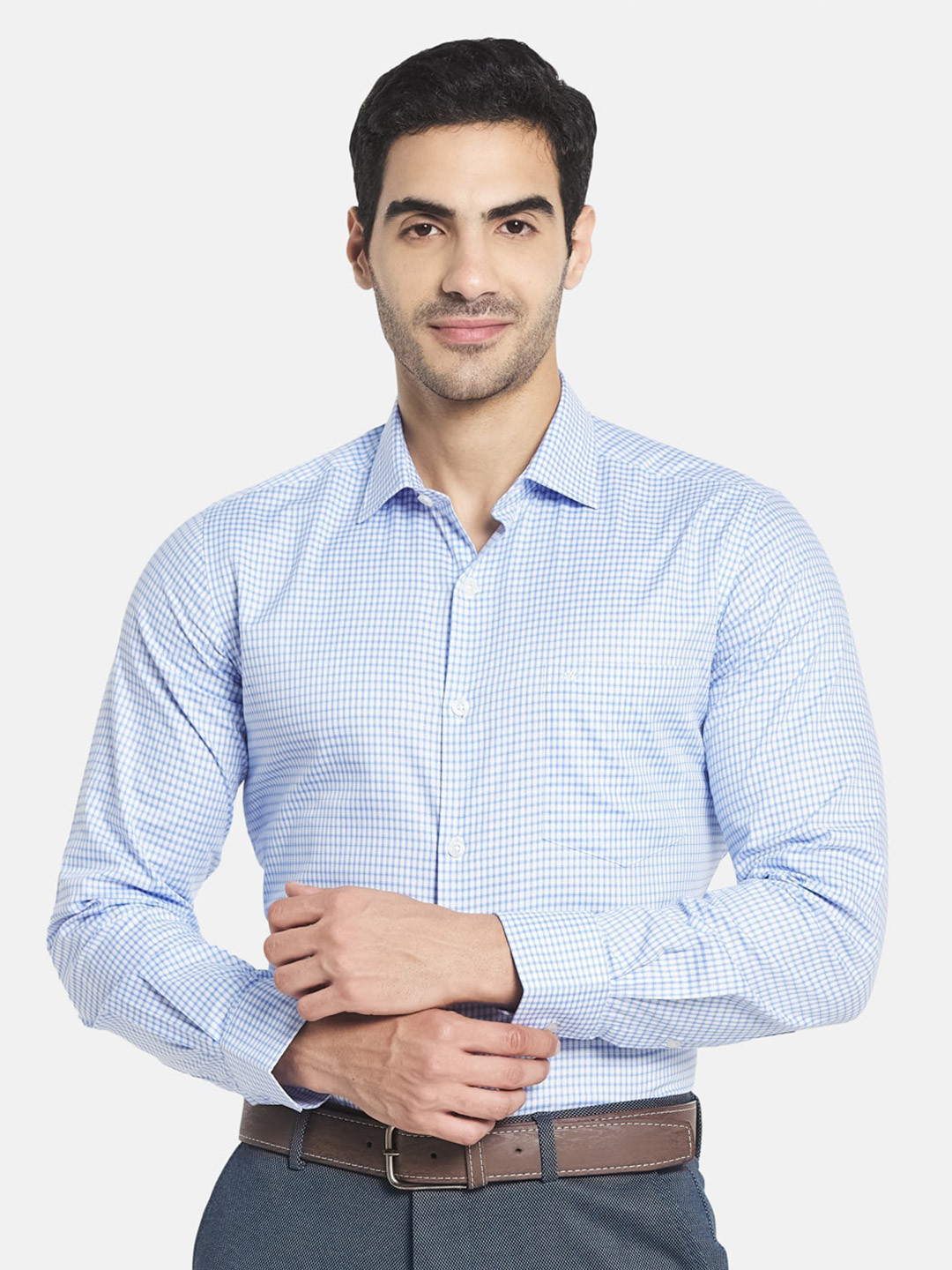 Monte Carlo Men Blue Micro Checks Checked Cotton Formal Shirt
Monte Carlo Men Blue Micro Checks Checked Cotton Formal Shirt