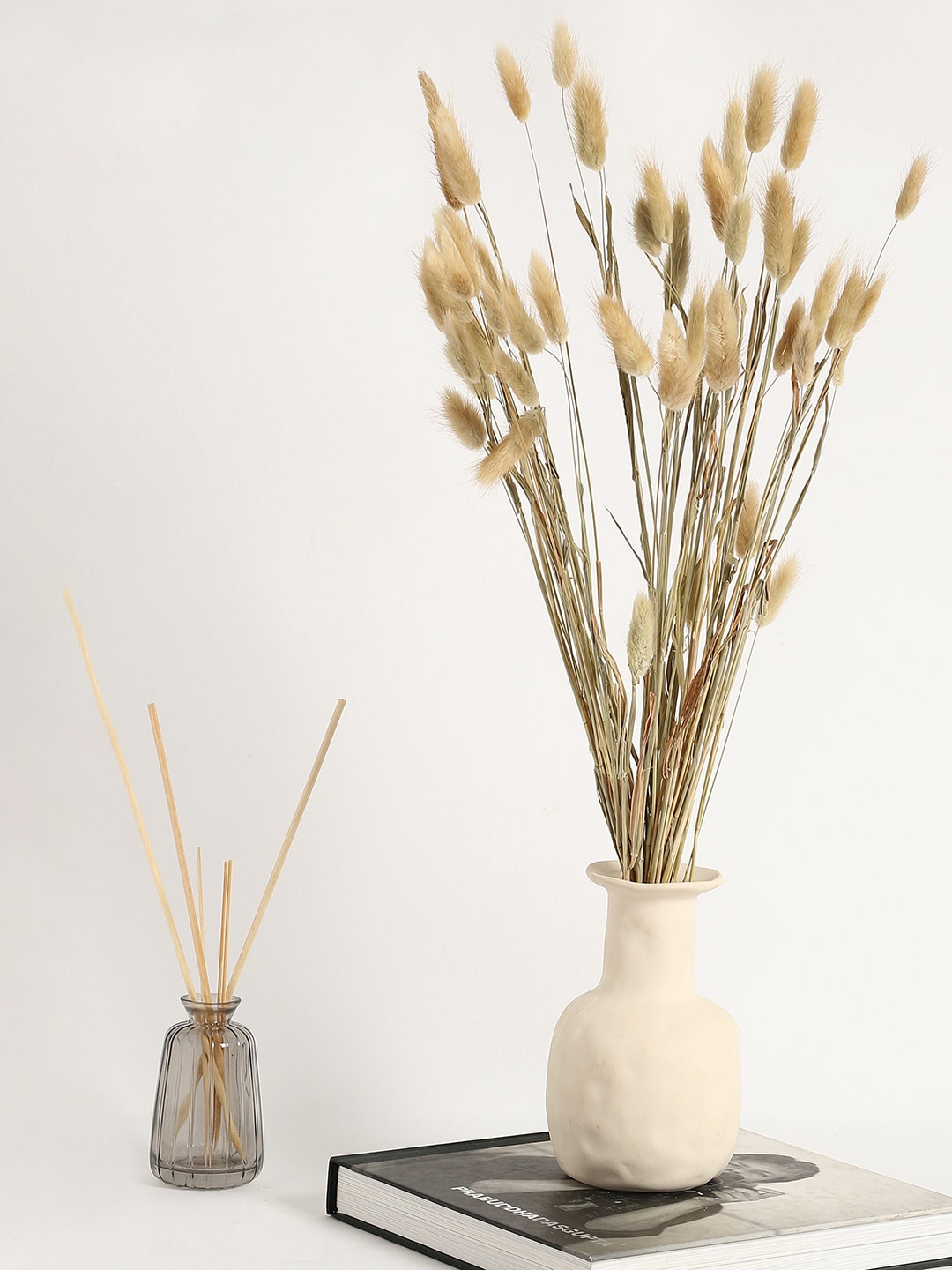 Bonhomie Beige Bunny Tails Dried Natural Plant