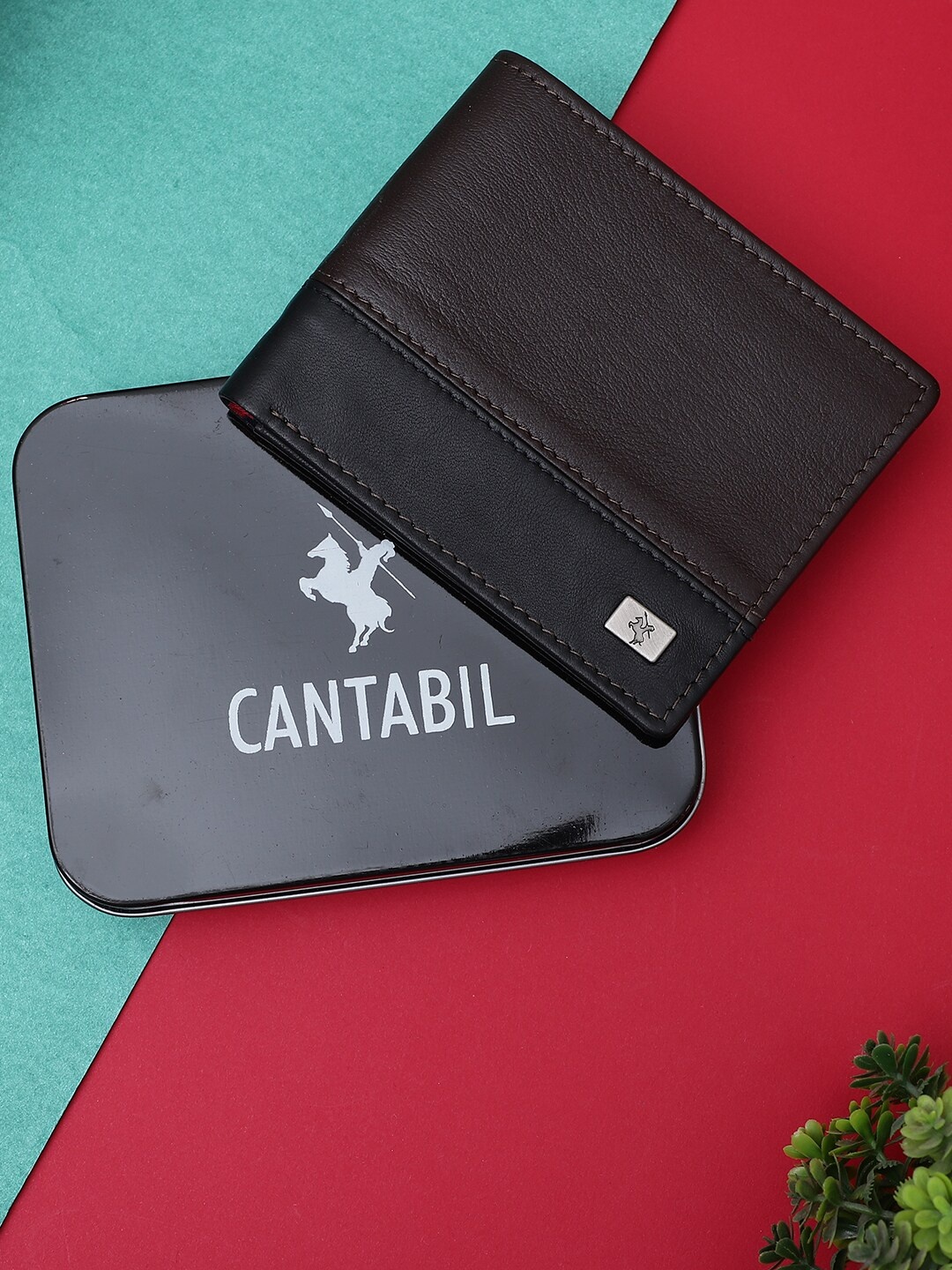Cantabil Men Leather Two Fold Wallet, Brown
