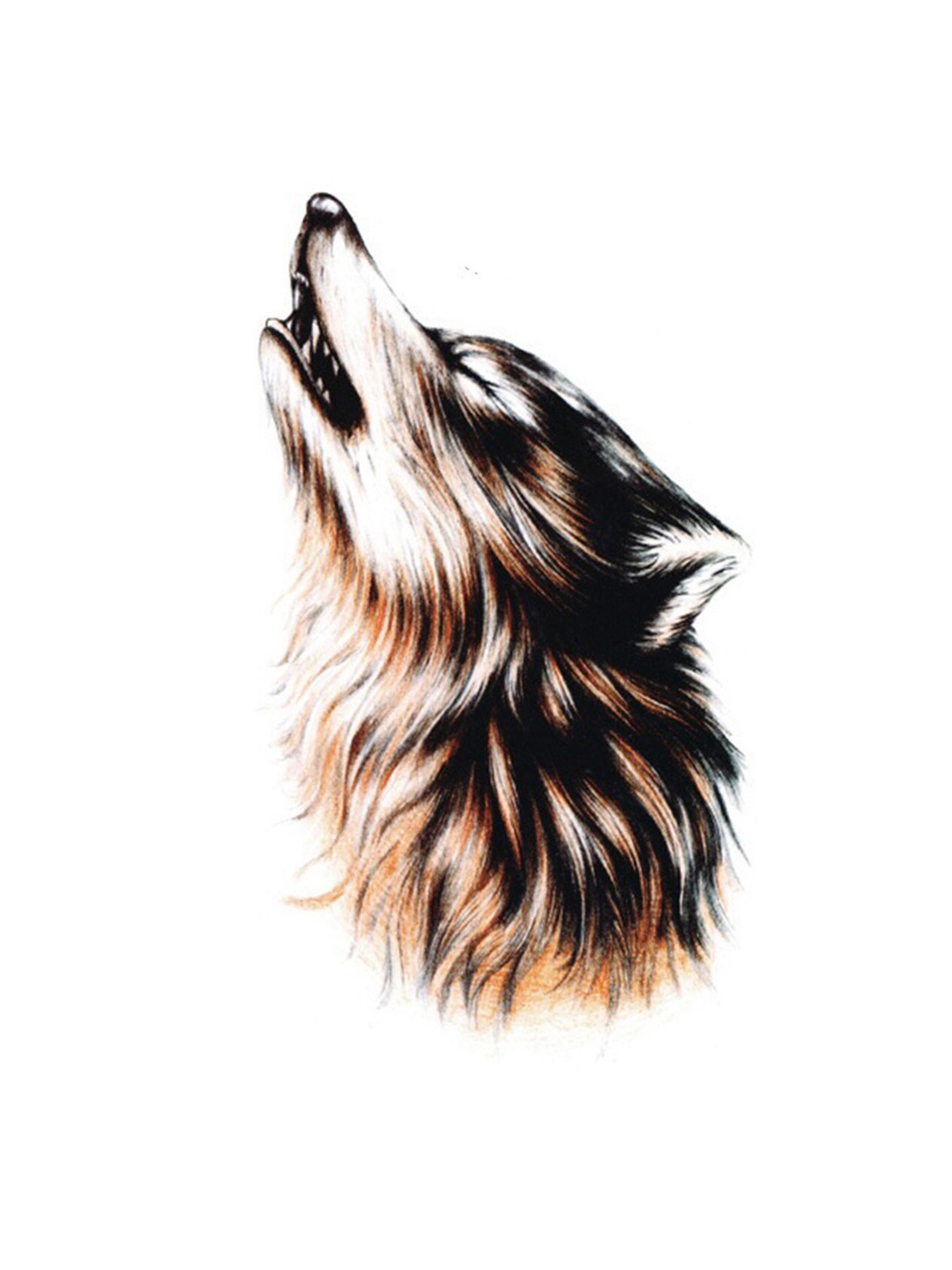 S.A.V.I. 3D Big Wolf Face Water Proof & Long Lasting Temporary Tattoo Sticker - Brown
S.A.V.I. 3D Big Wolf Face Water Proof & Long Lasting Temporary Tattoo Sticker - Brown