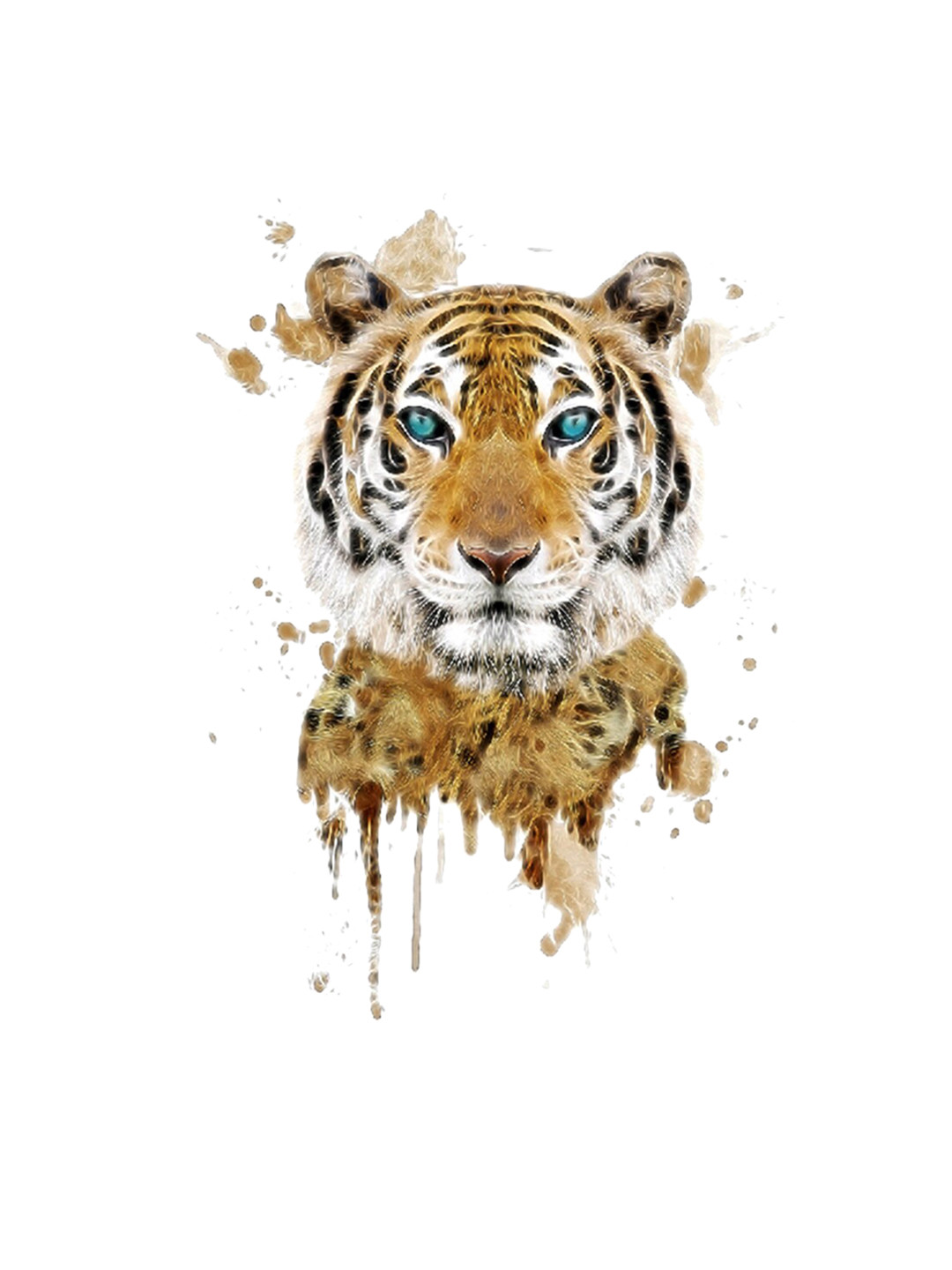 S.A.V.I. 3D Beautiful Colourful Big Tiger Face Temporary Tattoo Stickers, Yellow
S.A.V.I. 3D Beautiful Colourful Big Tiger Face Temporary Tattoo Stickers, Yellow