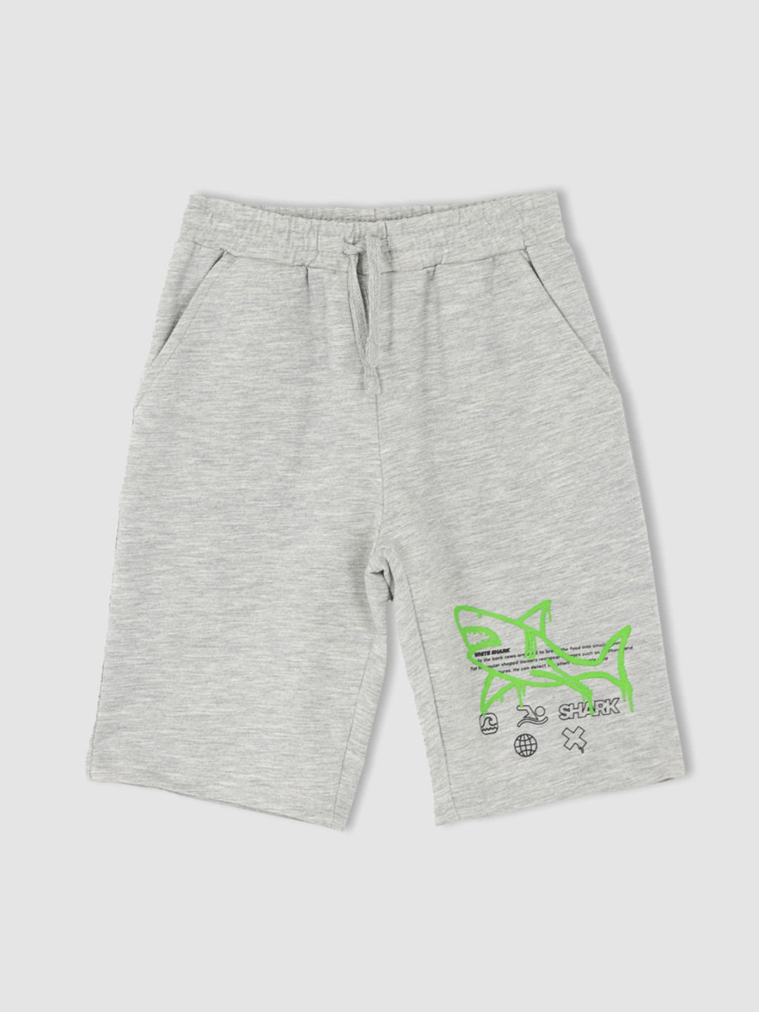 DeFacto Boys Grey Shorts
DeFacto Boys Grey Shorts