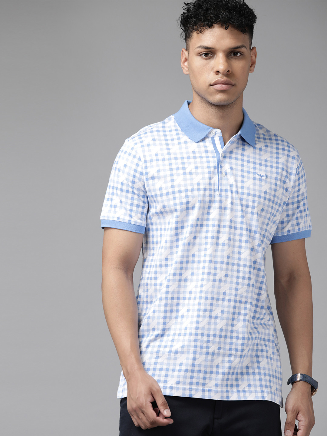 Park Avenue Checked Polo Collar Pure Cotton Slim Fit T-shirt, Blue
Park Avenue Checked Polo Collar Pure Cotton Slim Fit T-shirt, Blue