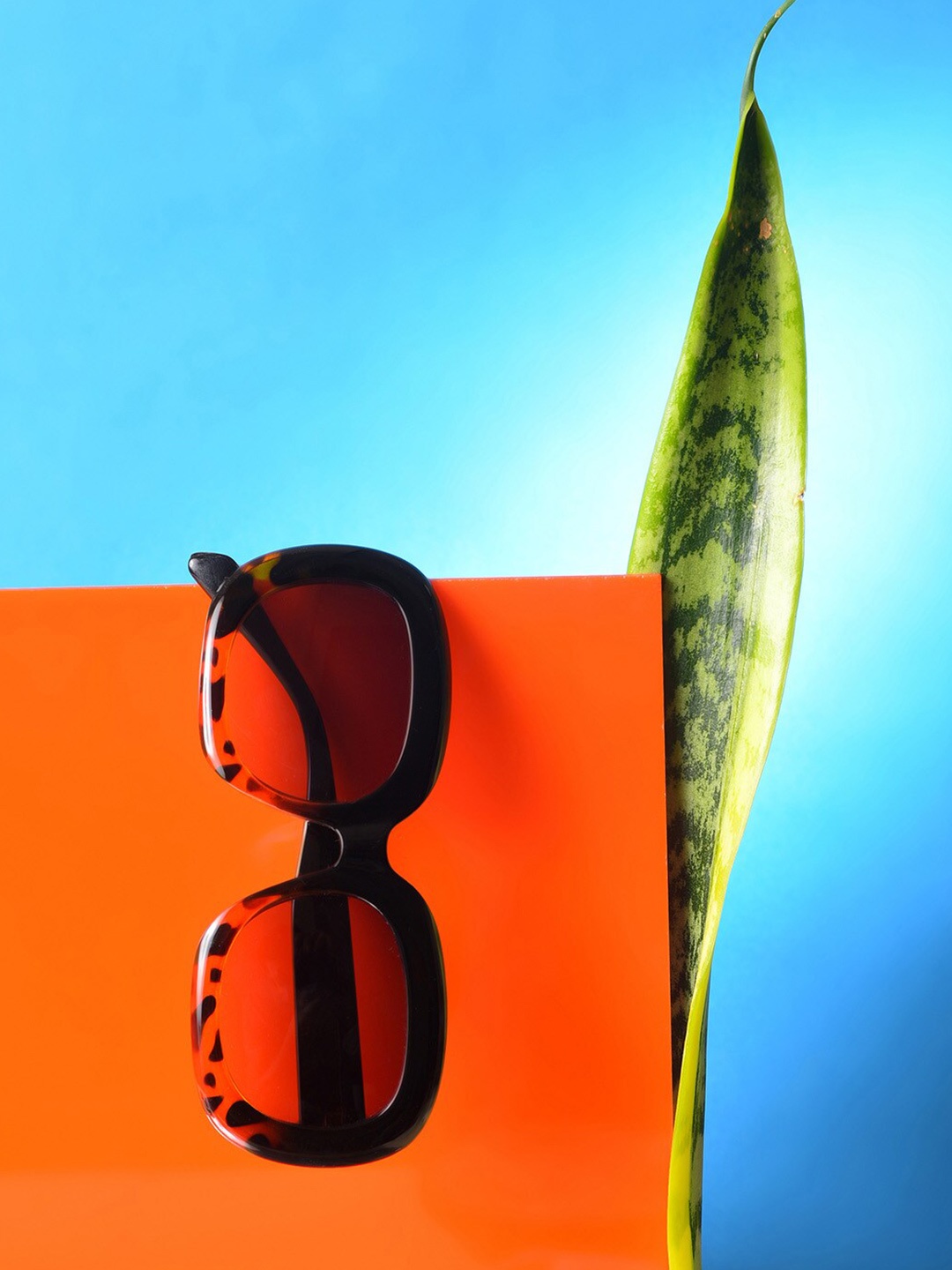 HAUTE SAUCE by Campus Sutra Women Lens & Wayfarer Sunglasses With Polarised Lens, Black
HAUTE SAUCE by Campus Sutra Women Lens & Wayfarer Sunglasses With Polarised Lens, Black