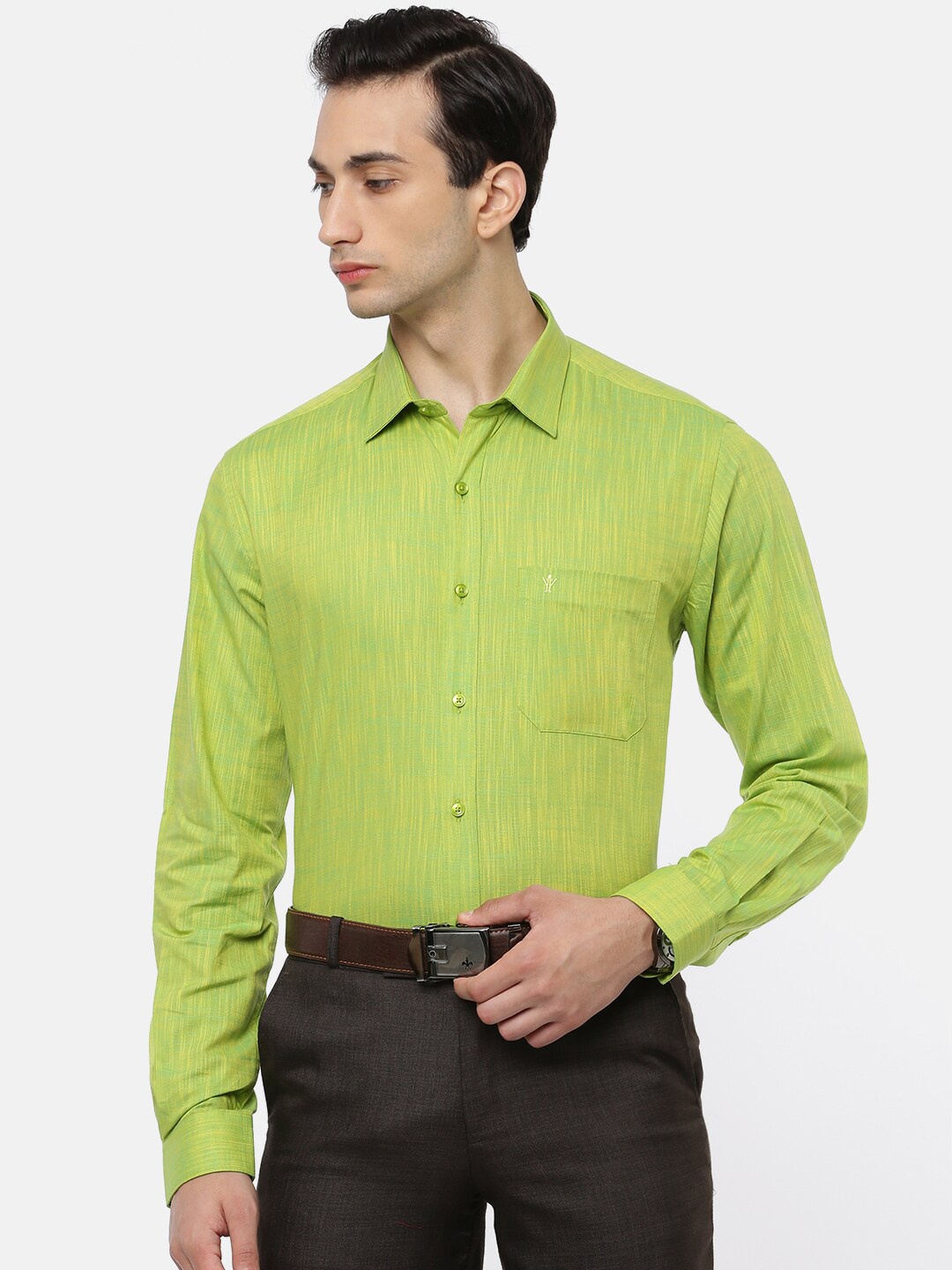 Ramraj Regular Fit Formal Shirt, Green