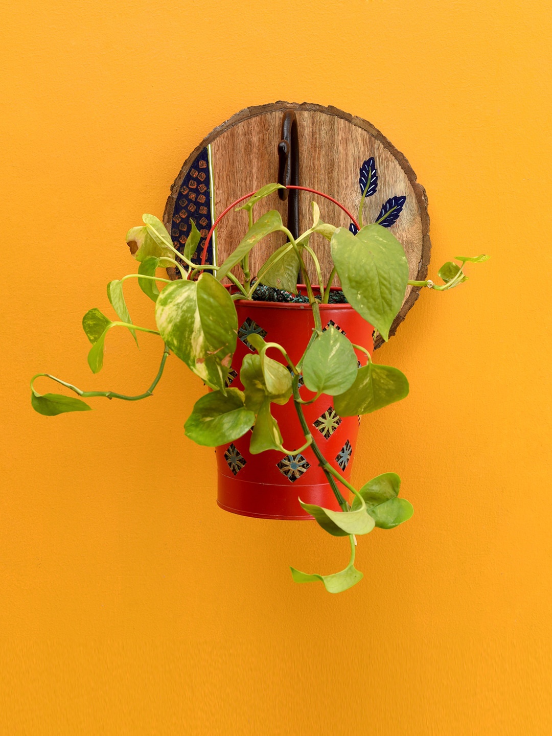 AAKRITI ART CREATIONS Red & Brown Printed Metal Bucket Shaped Planter With Round Wall Hook
AAKRITI ART CREATIONS Red & Brown Printed Metal Bucket Shaped Planter With Round Wall Hook