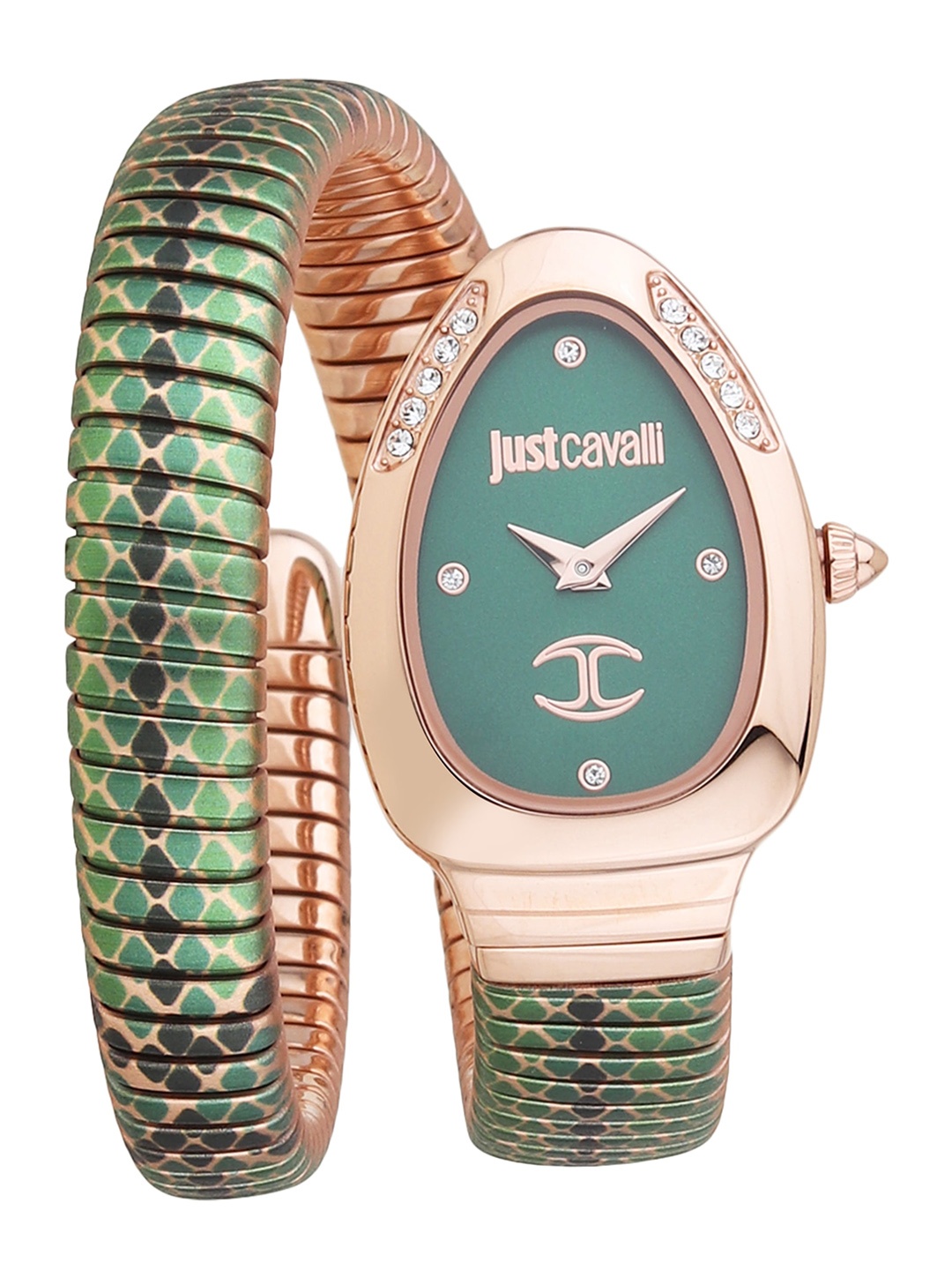 Just Cavalli Women Embellished Dial Wrap Around Straps Analogue Watch- JC1L251M0075, Green
Just Cavalli Women Embellished Dial Wrap Around Straps Analogue Watch- JC1L251M0075, Green