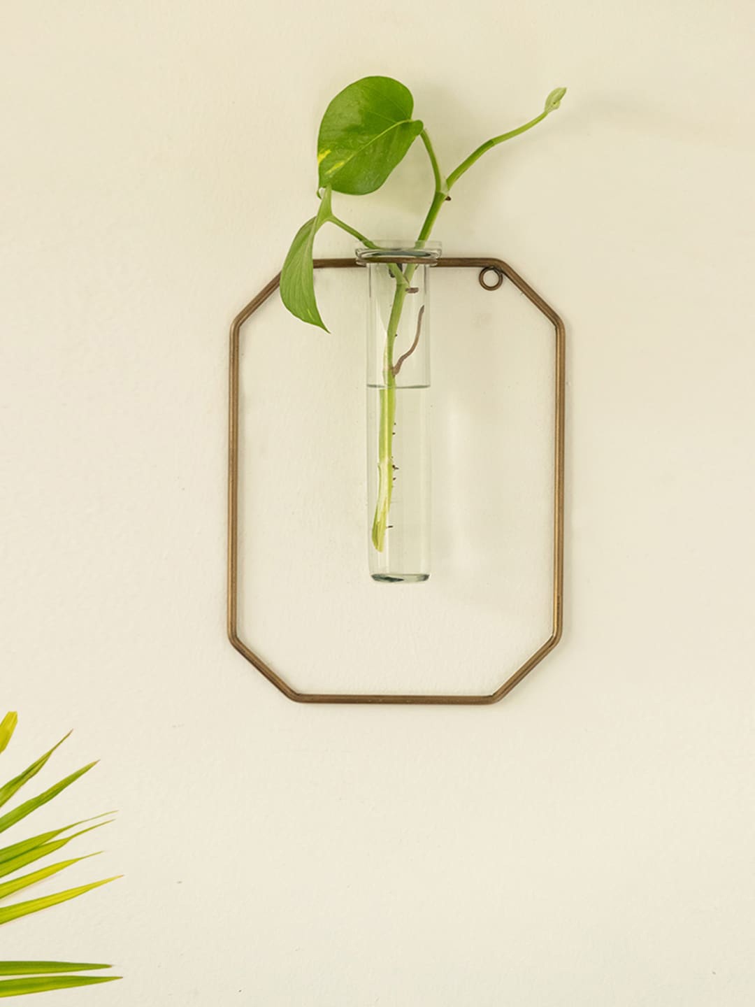 ExclusiveLane Modern Glass Garden Transparent Glass Test Tube Wall Planter With Holder
ExclusiveLane Modern Glass Garden Transparent Glass Test Tube Wall Planter With Holder