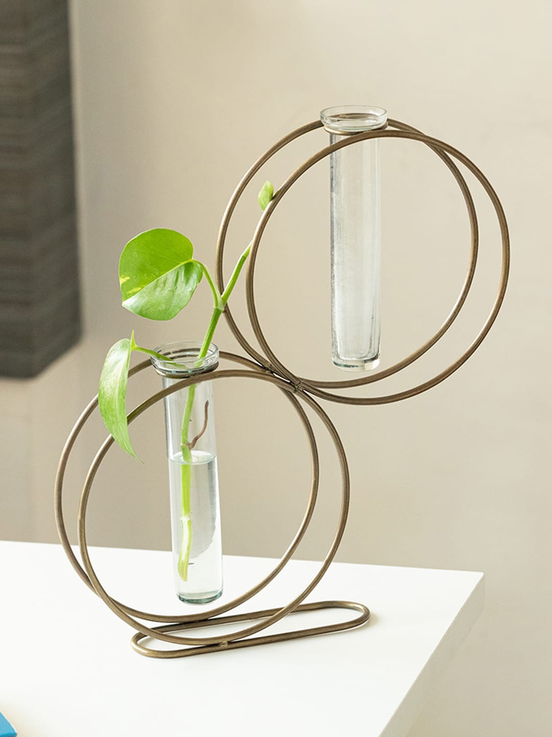 ExclusiveLane Modern Glass Garden Transparent Glass 2 Test Tube Planters With Holder
ExclusiveLane Modern Glass Garden Transparent Glass 2 Test Tube Planters With Holder