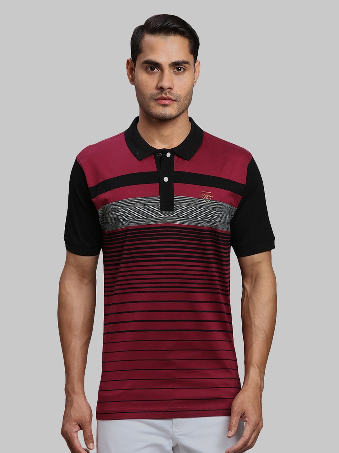 ColorPlus Striped Polo Collar Cotton T-shirt, Maroon