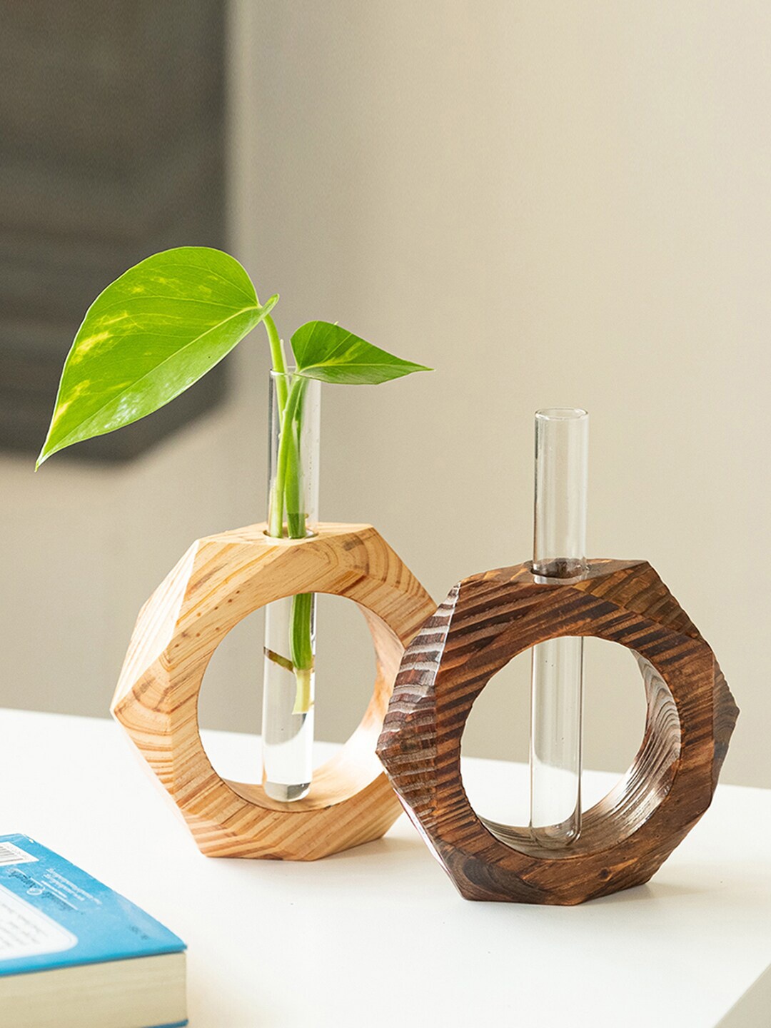 ExclusiveLane Brown & Transparent 2-Pcs Honeycomb Glass Garden Test Tube Table Planters
ExclusiveLane Brown & Transparent 2-Pcs Honeycomb Glass Garden Test Tube Table Planters
