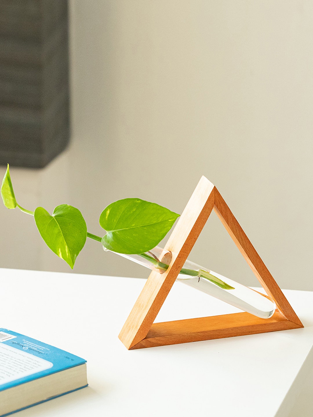 ExclusiveLane Orange And Transparent Tilted-Triangle Glass Garden Test Tube Table Planter
ExclusiveLane Orange And Transparent Tilted-Triangle Glass Garden Test Tube Table Planter