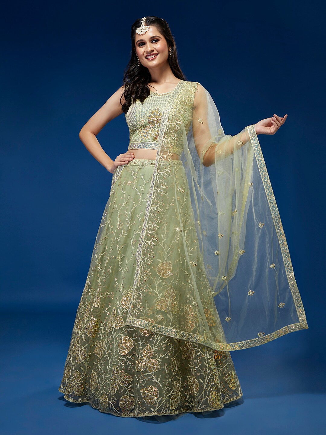 panchhi Embroidered Sequinned Semi-Stitched Lehenga & Unstitched Blouse With Dupatta, Olive
panchhi Embroidered Sequinned Semi-Stitched Lehenga & Unstitched Blouse With Dupatta, Olive